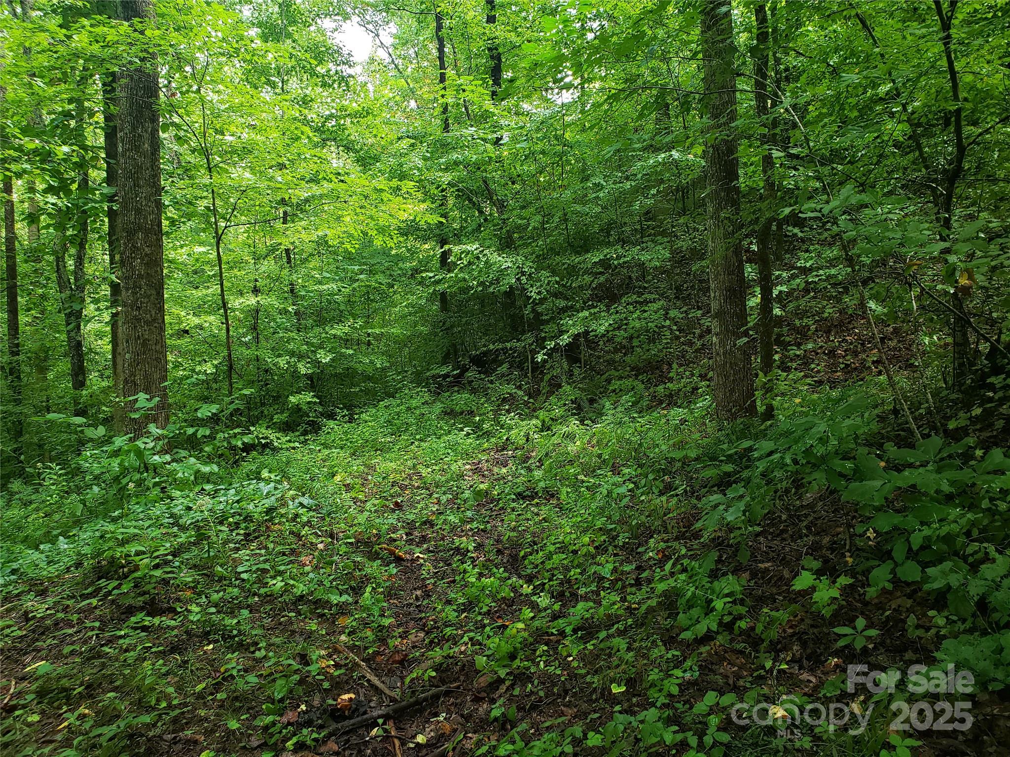 00 Luckadoo Mountain Road