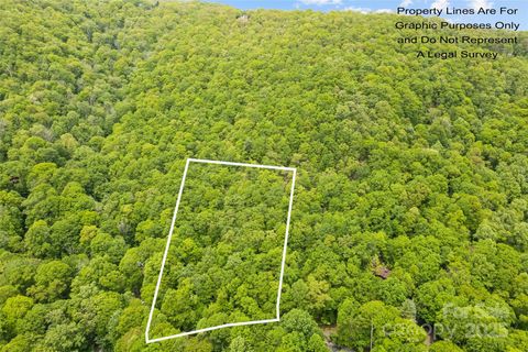 Lot 4 & 5 BLK 3 Skyline Drive Waynesville NC 28786