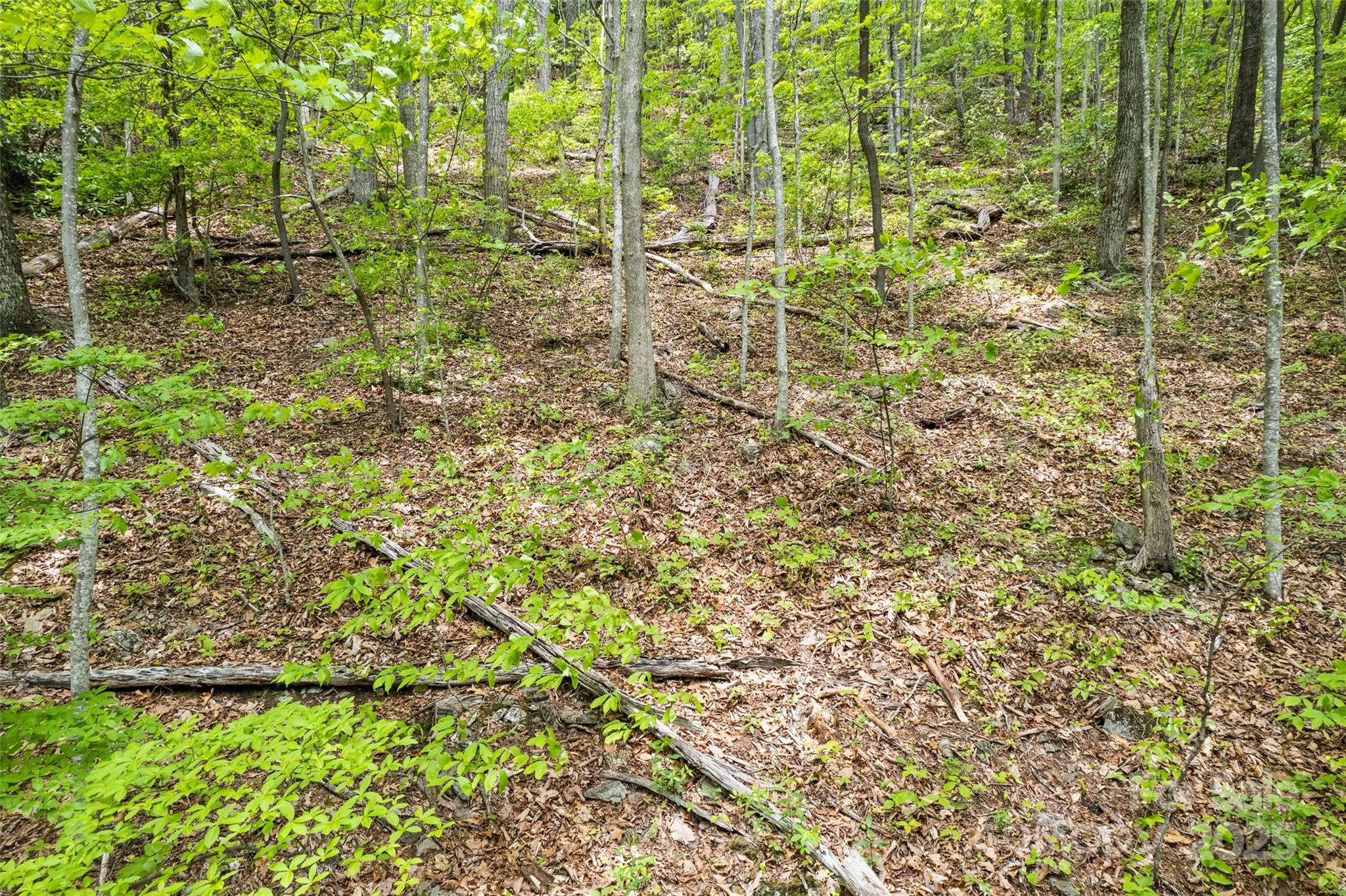 Lot 4 & 5 BLK 3 Skyline Drive