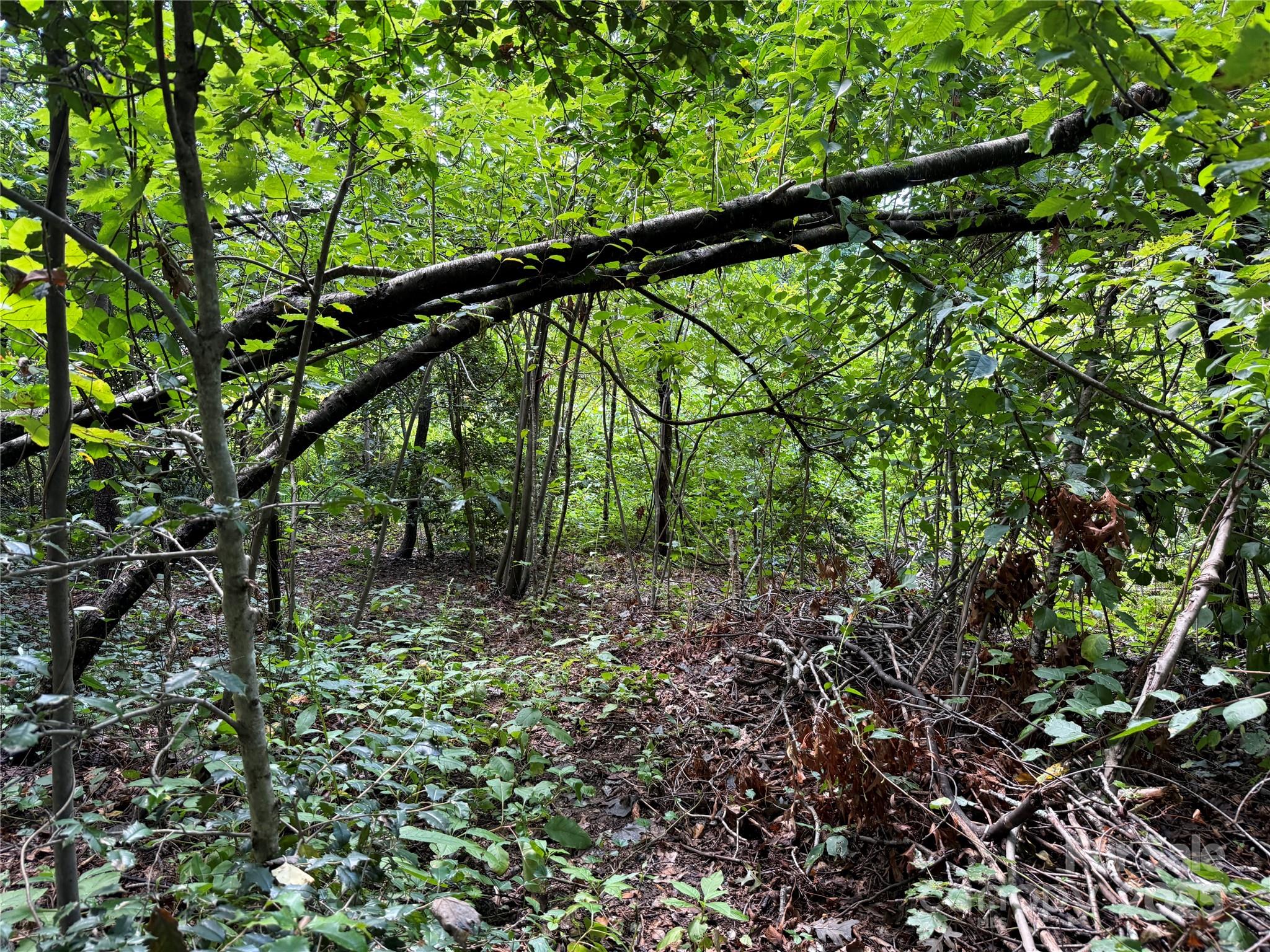 Beechwood Lakes - Land