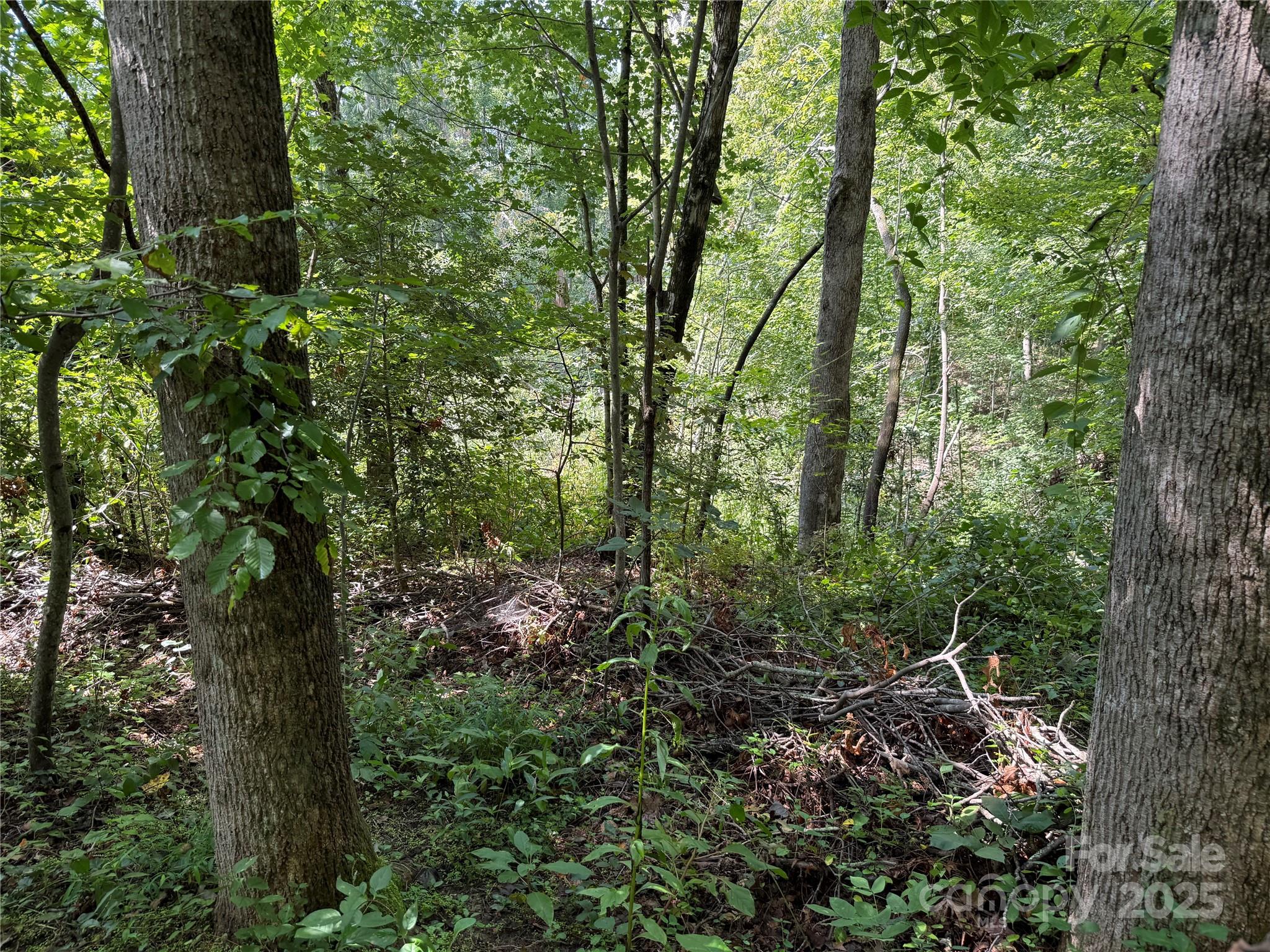 Beechwood Lakes - Land