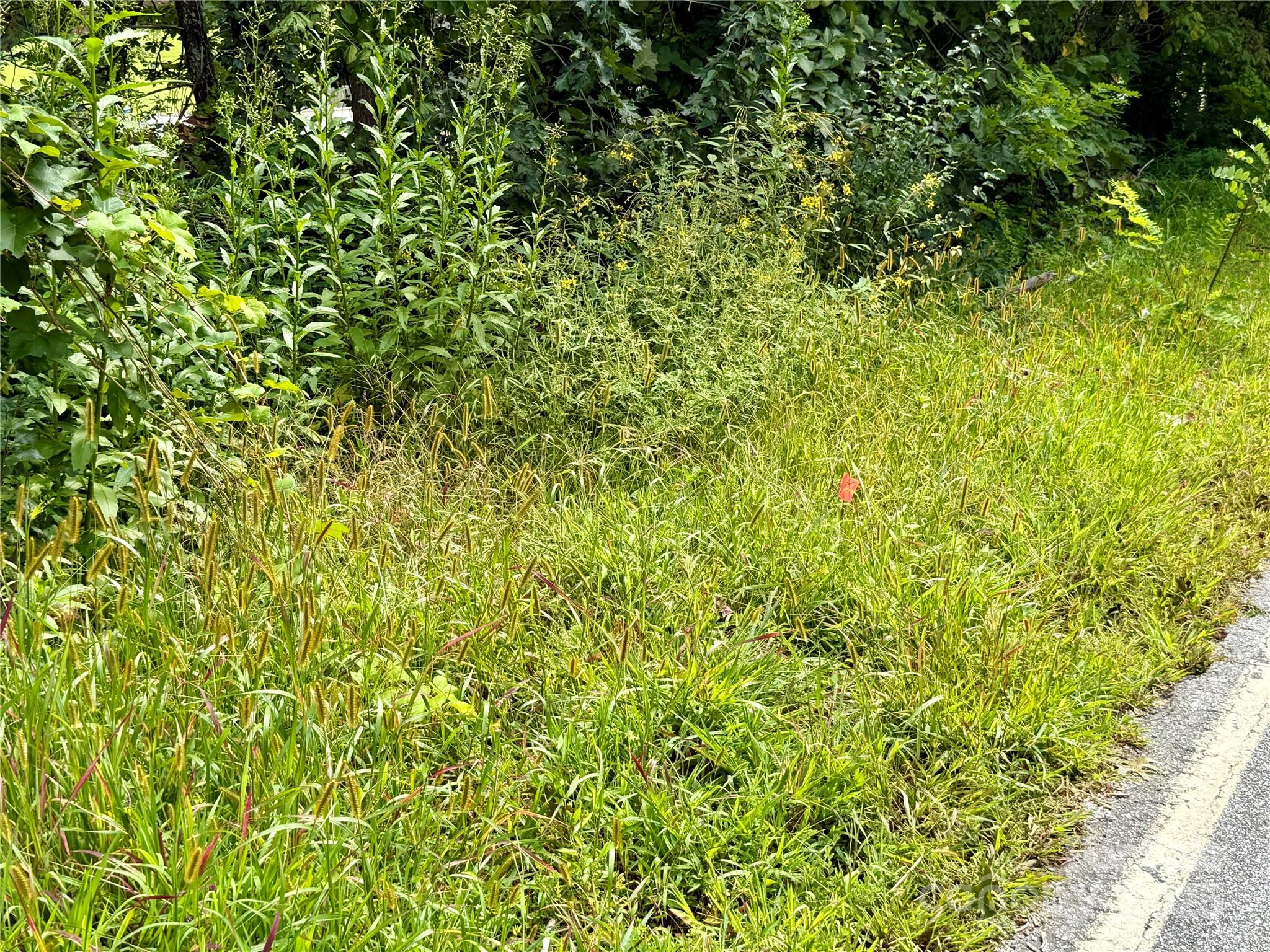 Beechwood Lakes - Land