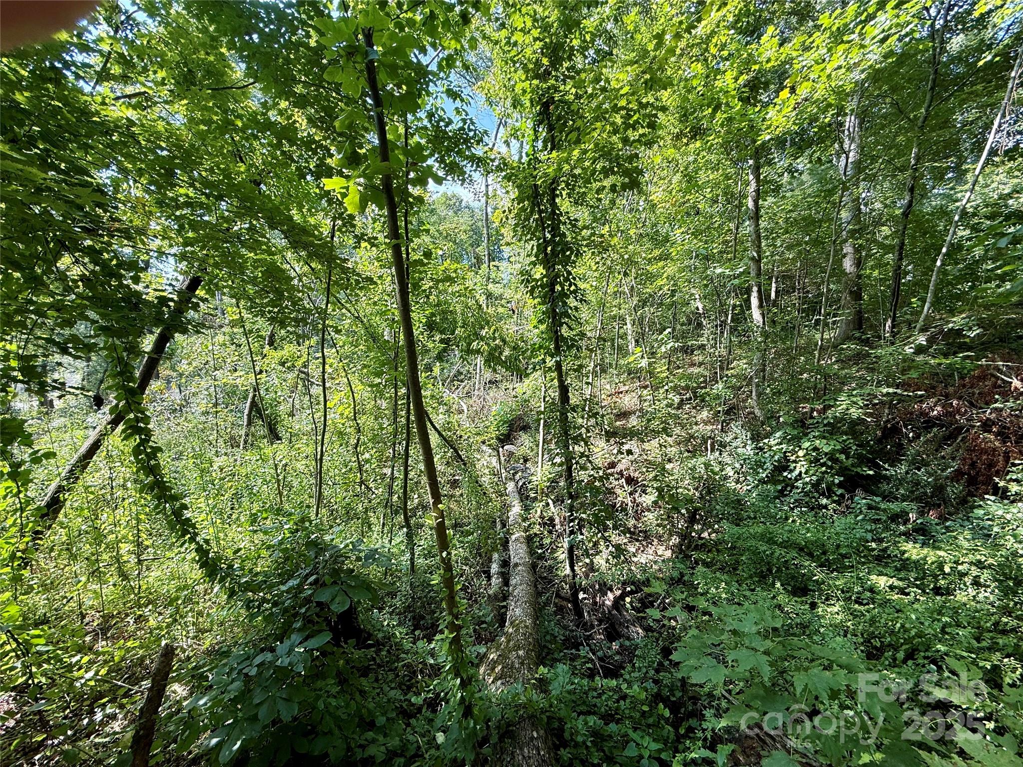 Beechwood Lakes - Land