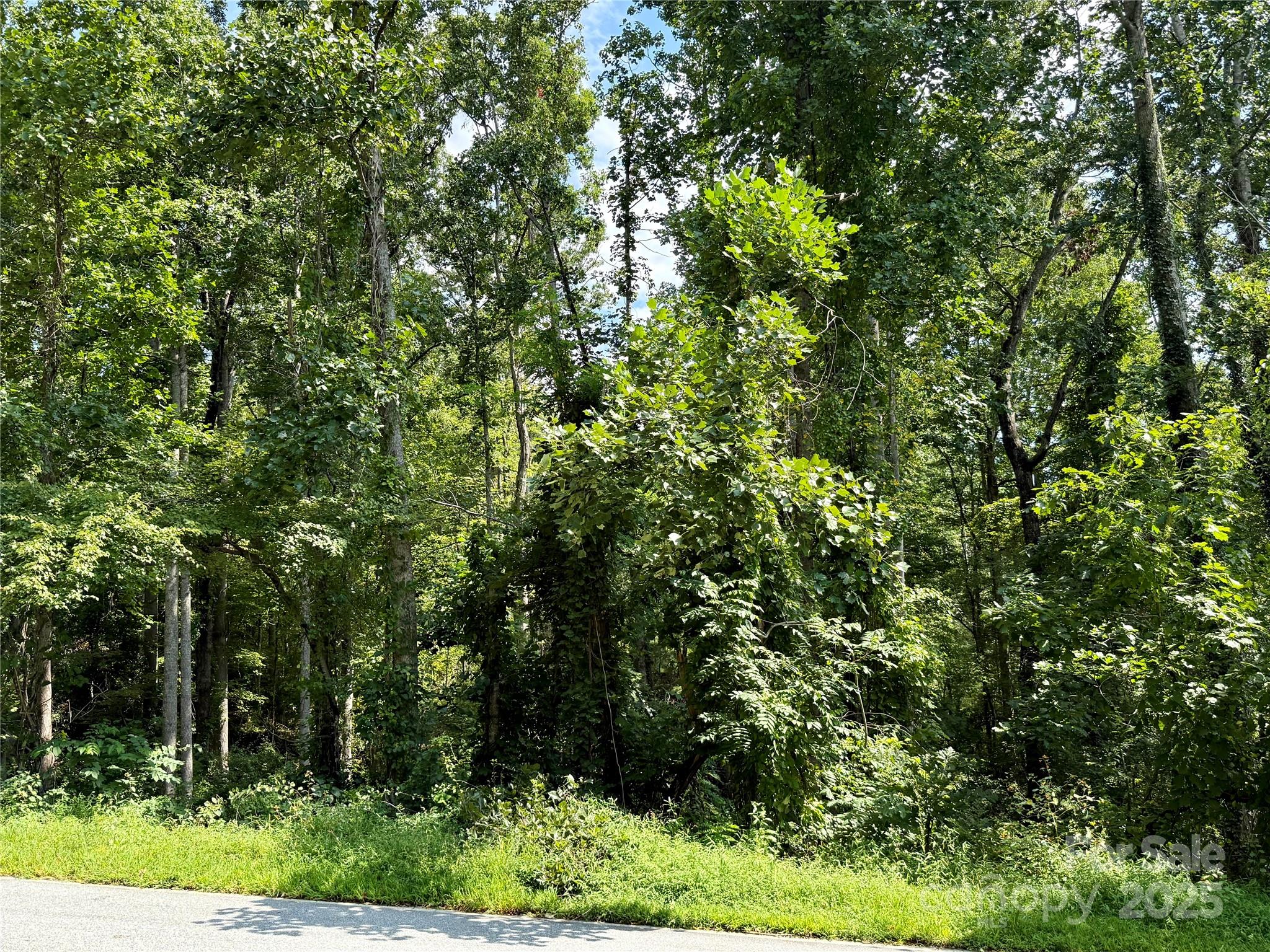 Beechwood Lakes - Land