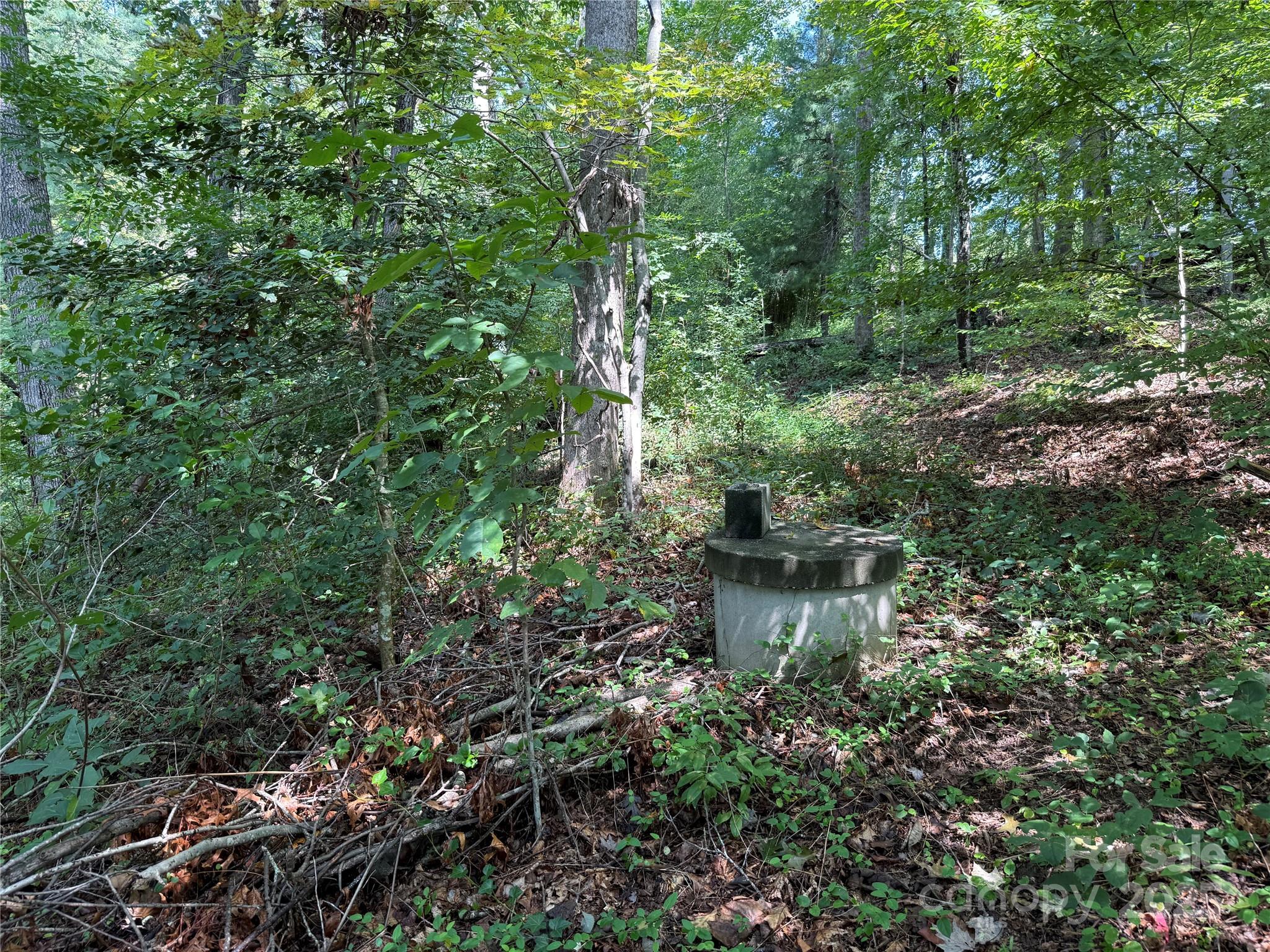 Beechwood Lakes - Land