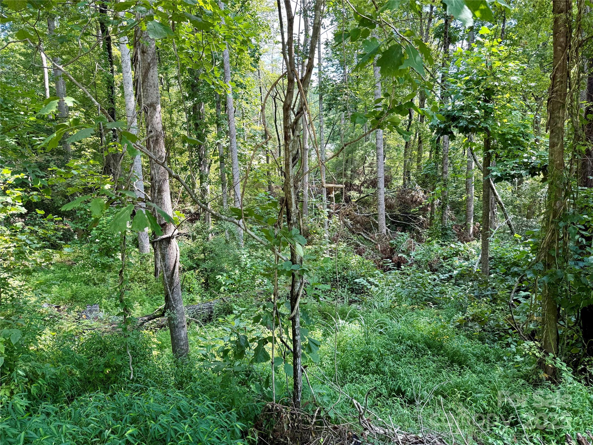 Beechwood Lakes - Land