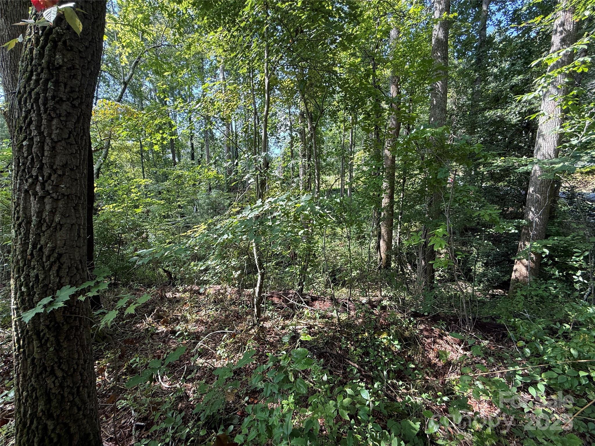 256 Burge Mountain Road