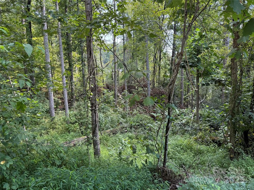 Double lot available in Beechwood Lakes! This spacious property offers approximately 1.3 wooded acres, ready for you to build your dream home. Conveniently located near Hendersonville, Arden, Fletcher, and Asheville, you’ll enjoy both privacy and easy access to local amenities.