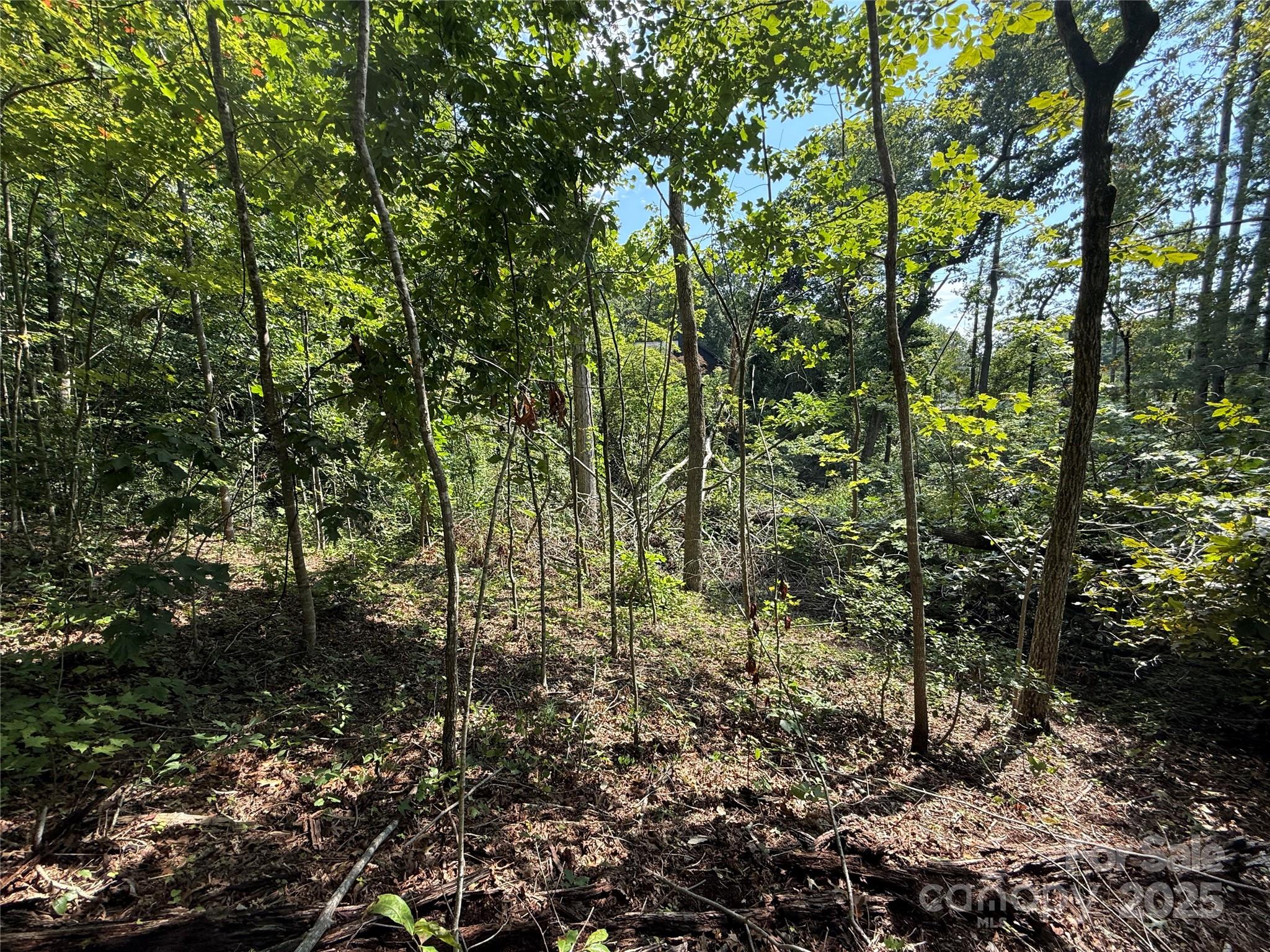 Beechwood Lakes - Land