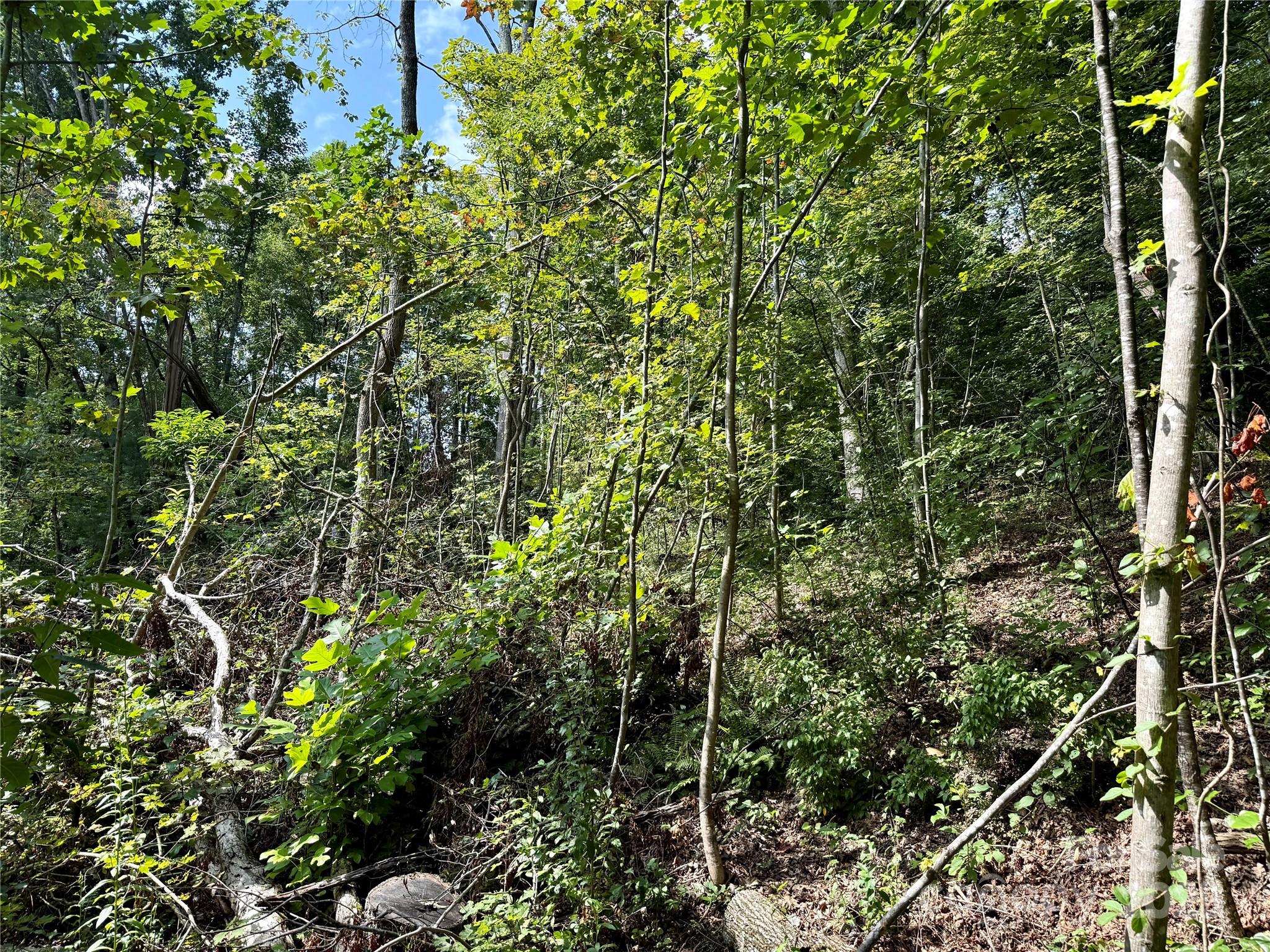 Beechwood Lakes - Land