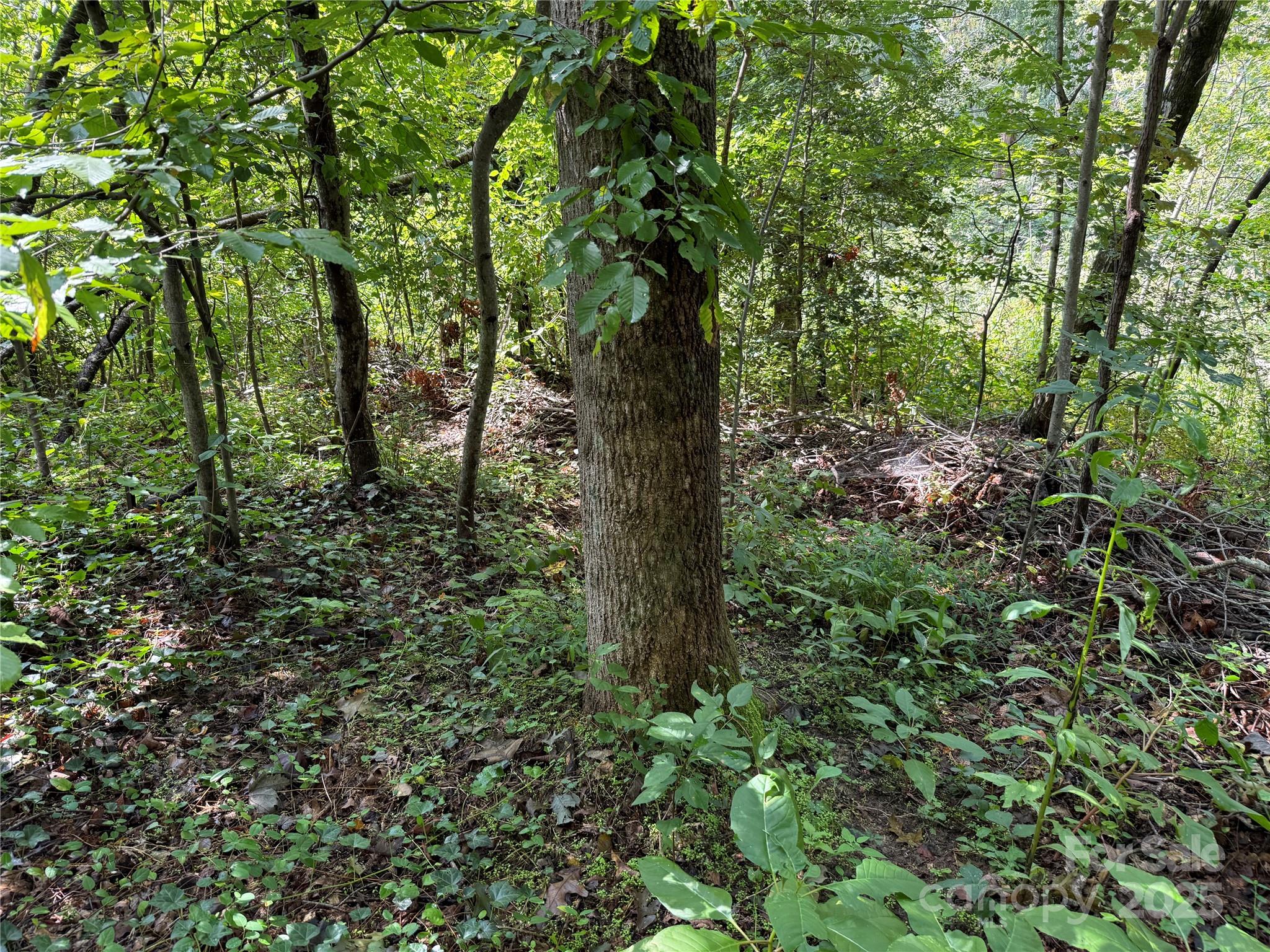 Beechwood Lakes - Land