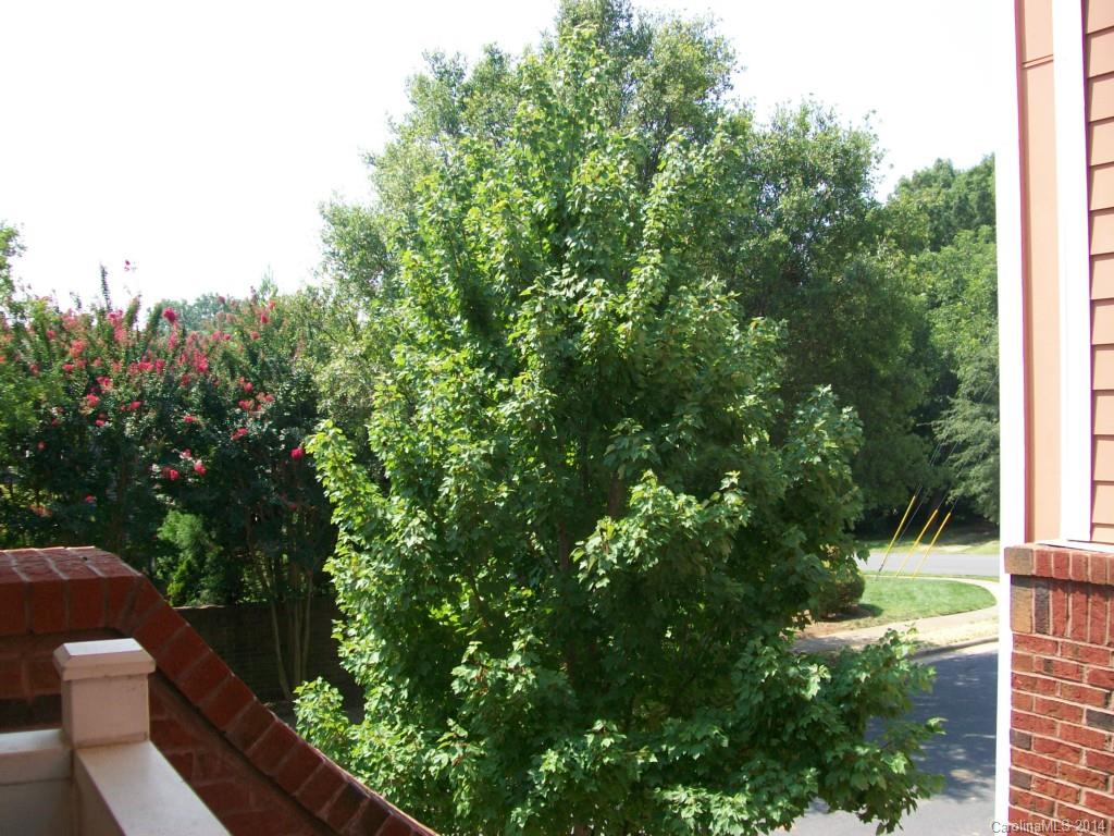 Dilworth - Residential Lease