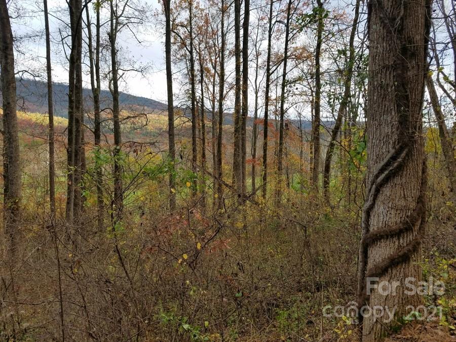 Linville Falls Mountain Club and Preserve - Land