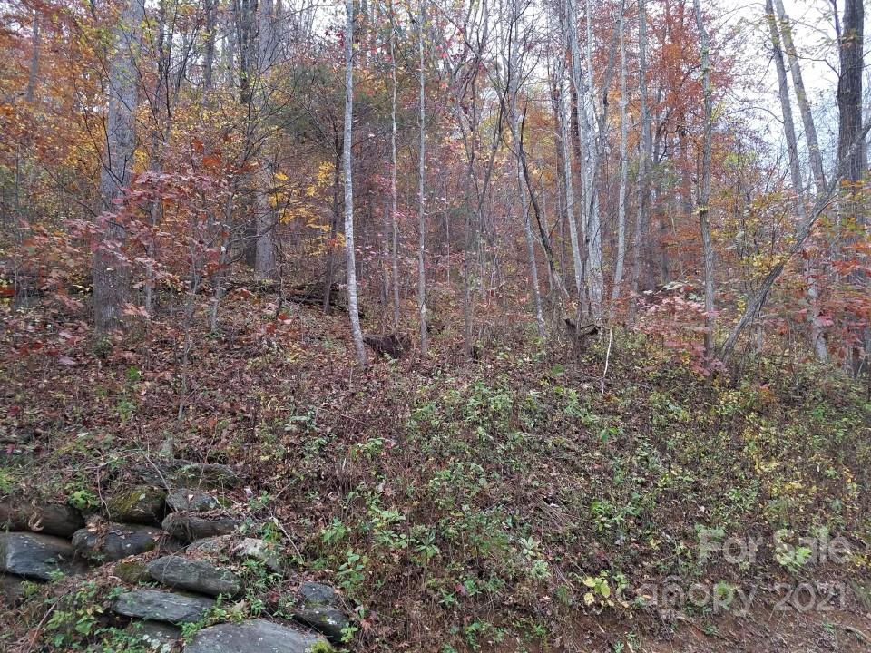Linville Falls Mountain Club and Preserve - Land