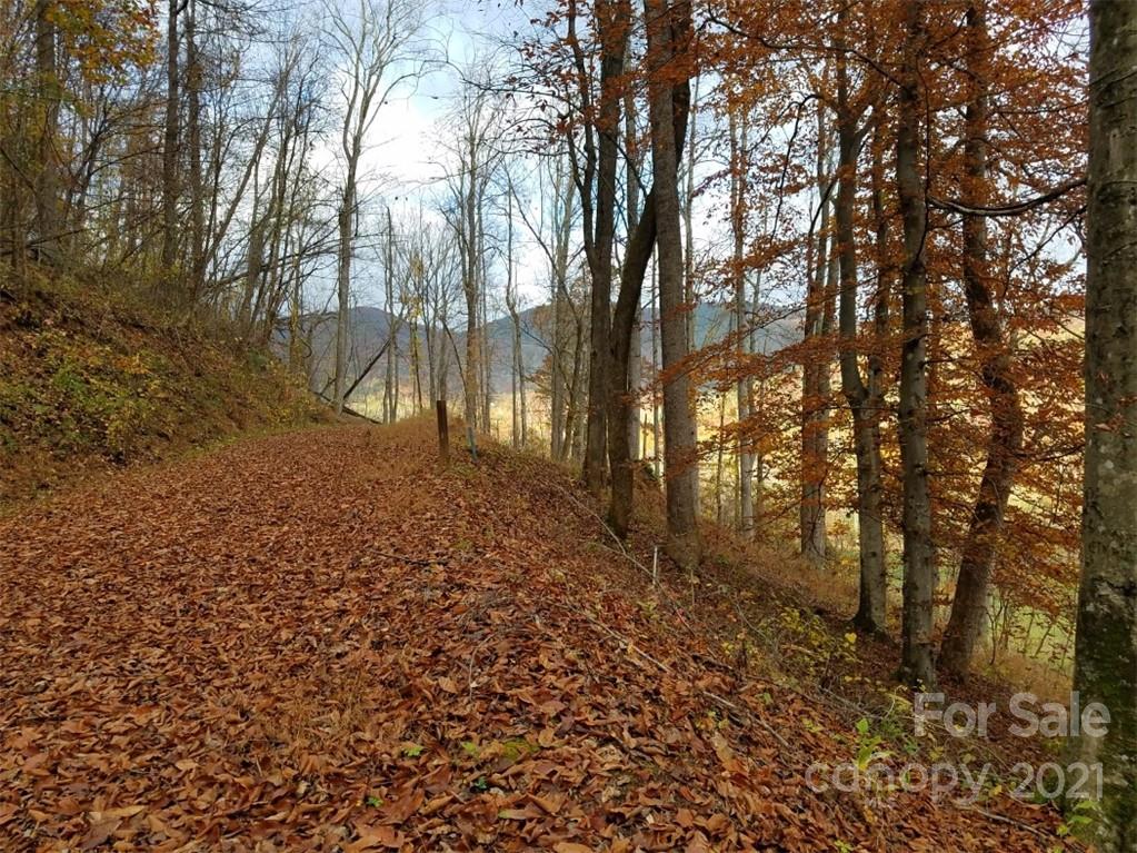 Linville Falls Mountain Club and Preserve - Land