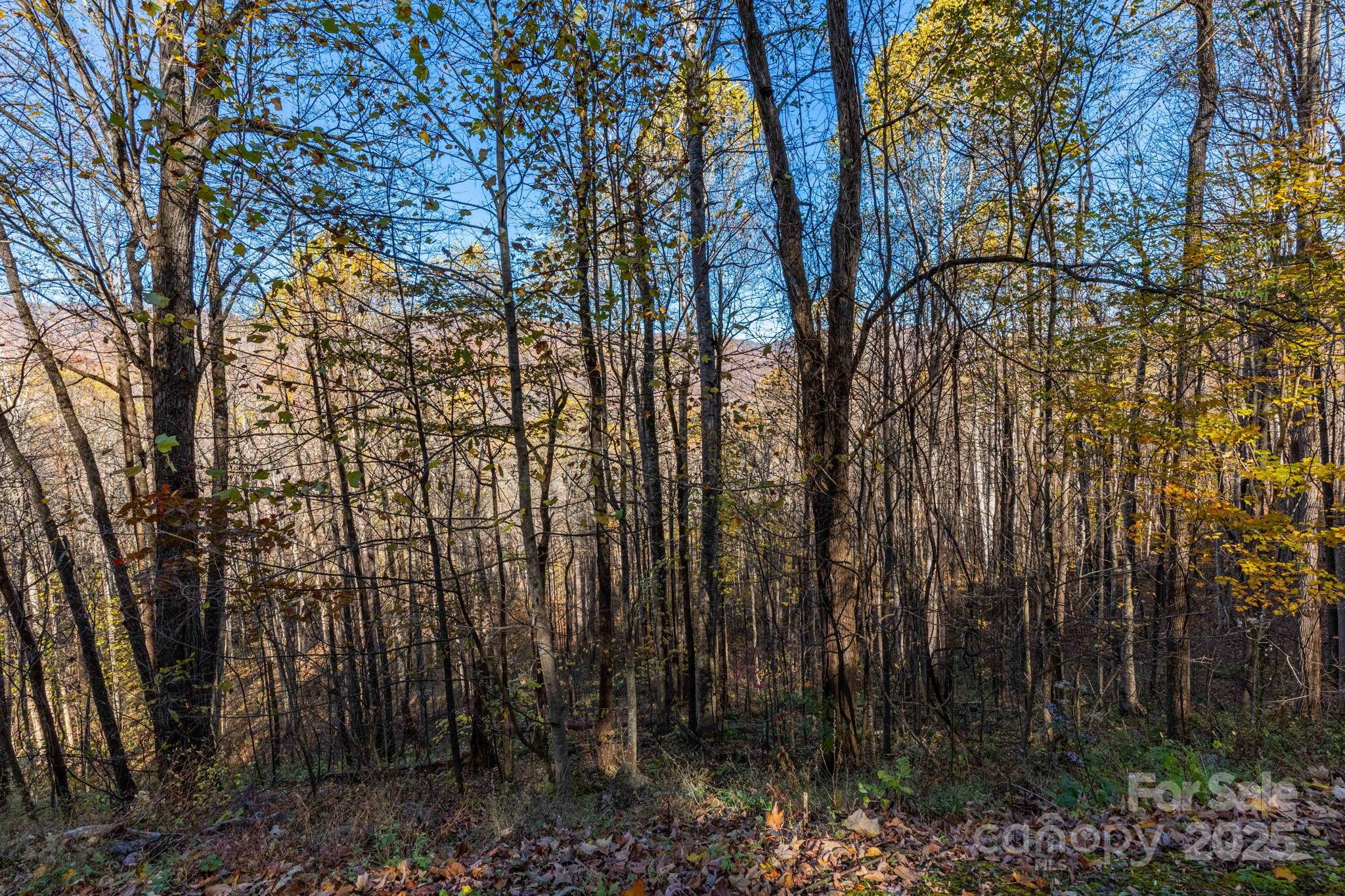 Cataloochee Ranch Estates - Land