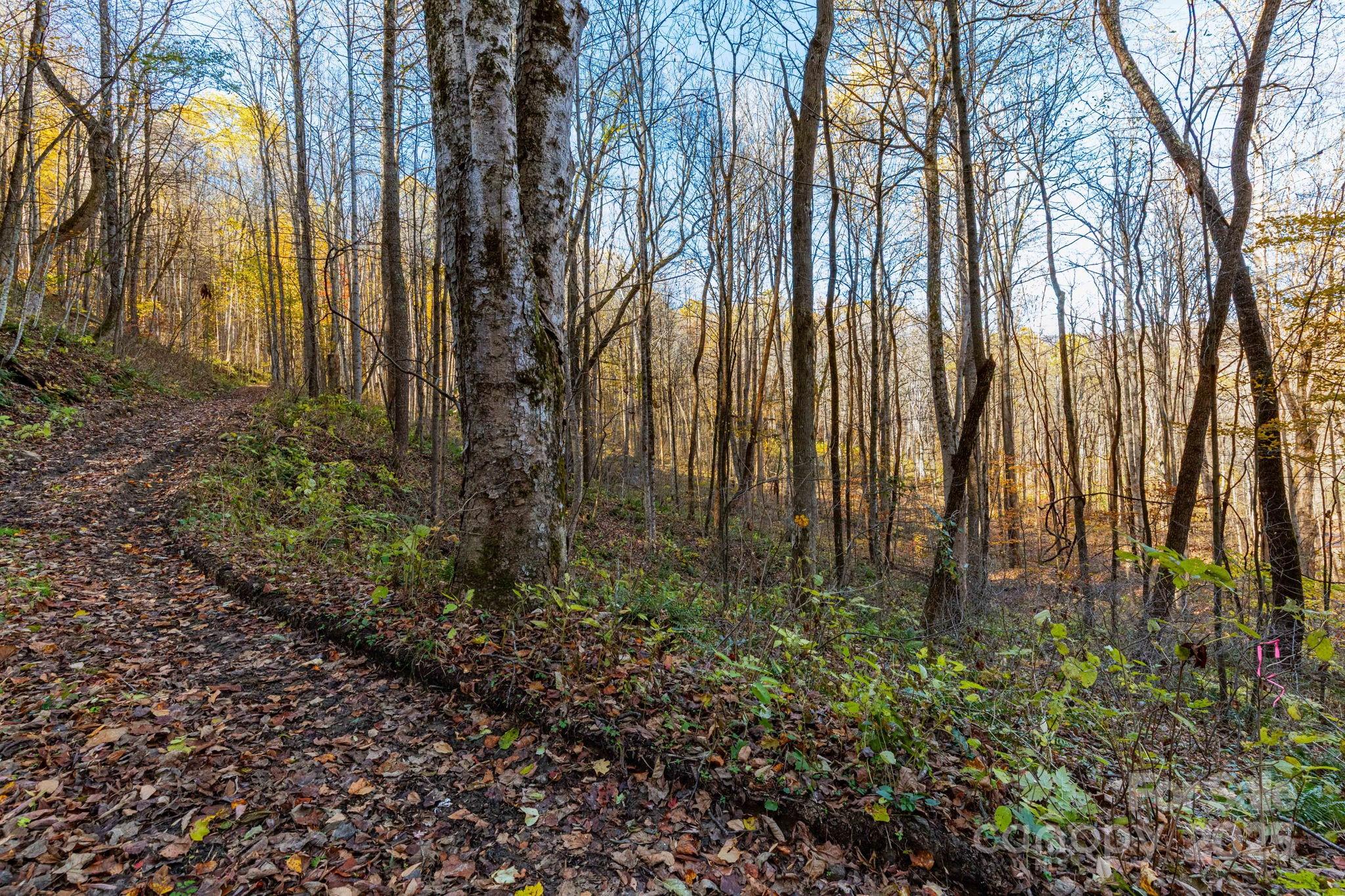 Cataloochee Ranch Estates - Land
