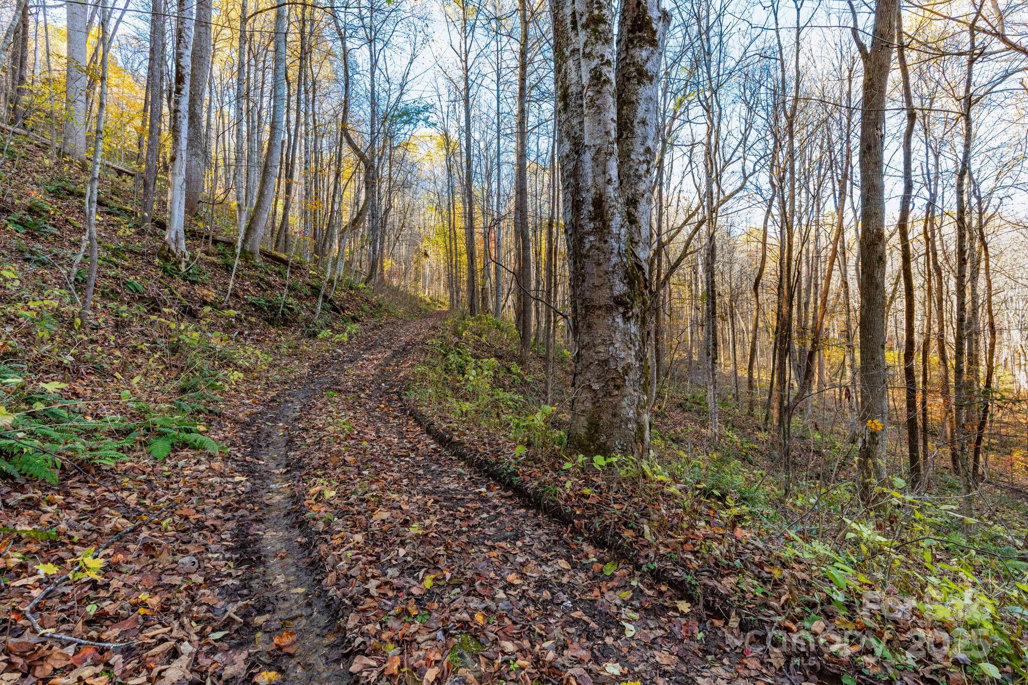 Cataloochee Ranch Estates - Land