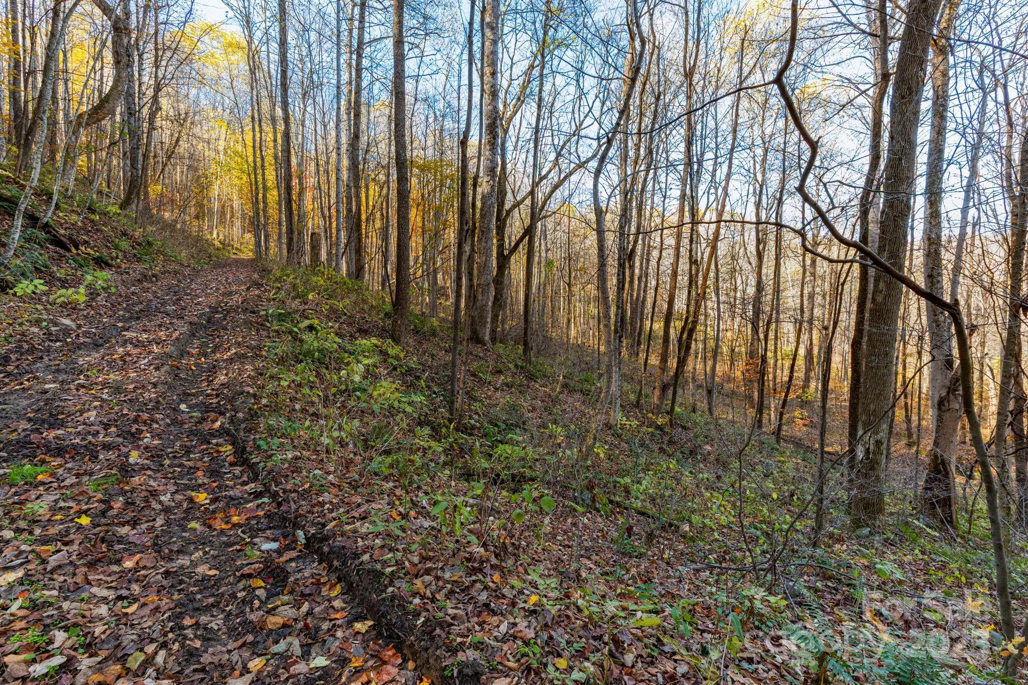 Cataloochee Ranch Estates - Land