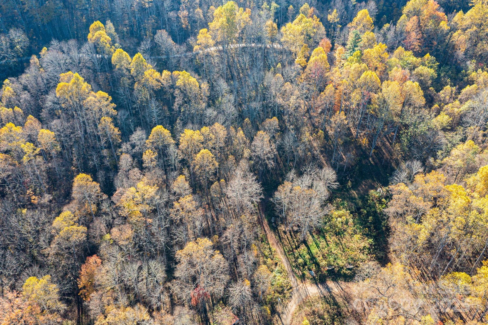 Cataloochee Ranch Estates - Land