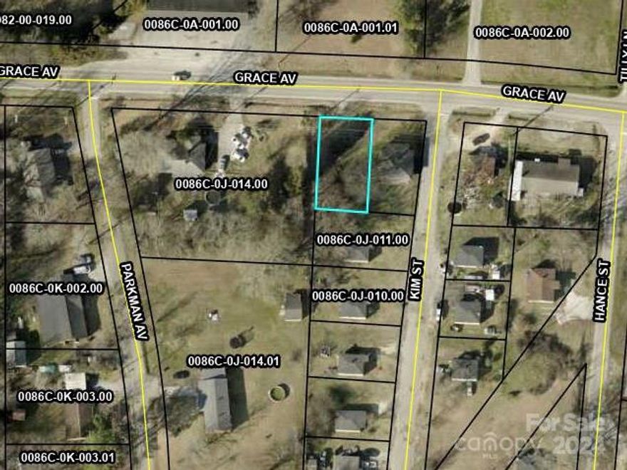 This property is located just minutes away from local shopping centers and other conveniences. It is a beautiful wooded lot, perfect to build a starter home or as an investment opportunity. ..Please inspect this property and validate it for any use that you intend it for prior to writing an offer. Lot has access to city water. Perc test needed.
