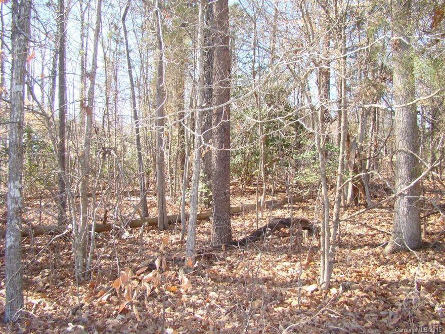 This is 5 parcels in Lakehaven Estates Parcel #90258 Lot 15, #02467 Lot 16, #57376 Lot 17, # 53520 Lot 18 Carolyn Street - Parcel #52778 Lot 8 & pt 7 Webbs Road.