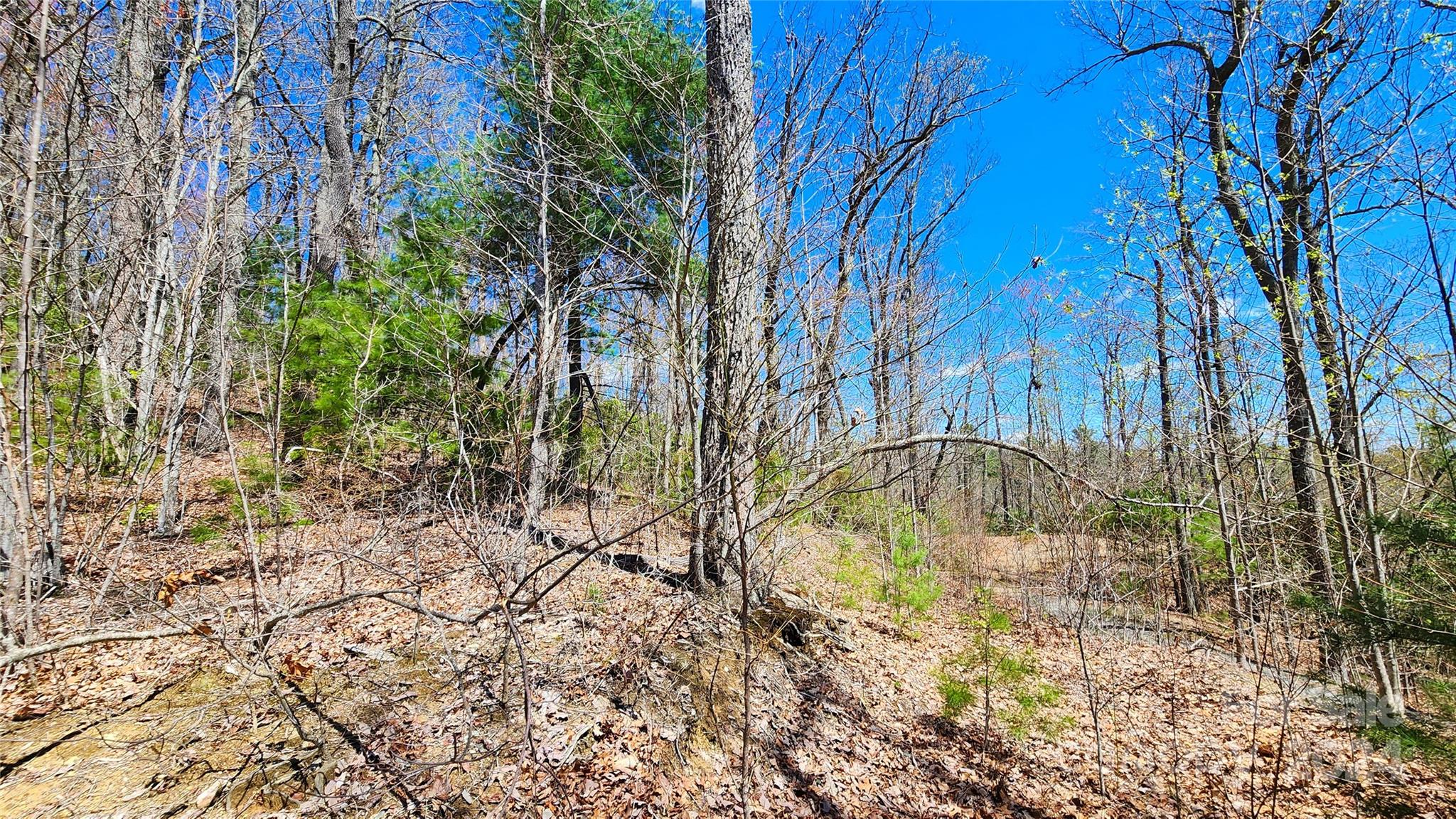 The Ridges of Pleasant Grove - Land