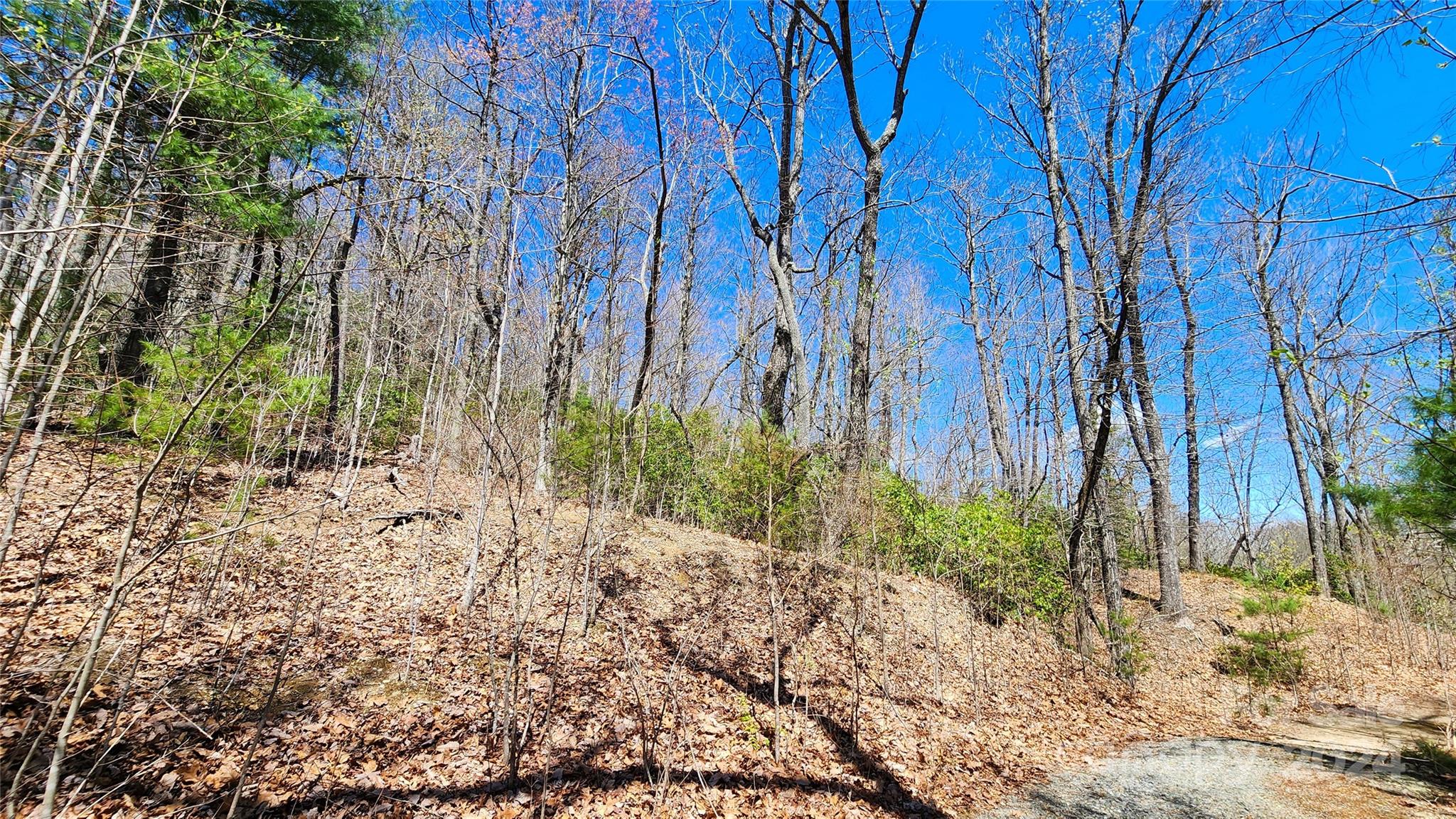 The Ridges of Pleasant Grove - Land