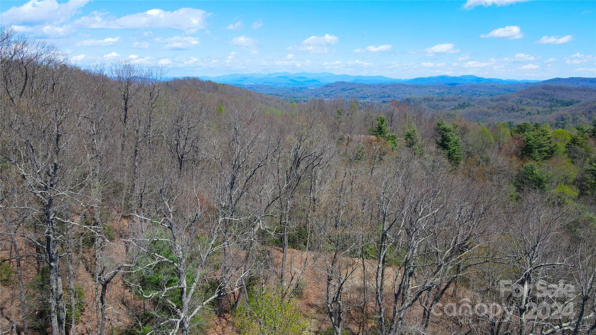 The Ridges of Pleasant Grove - Land