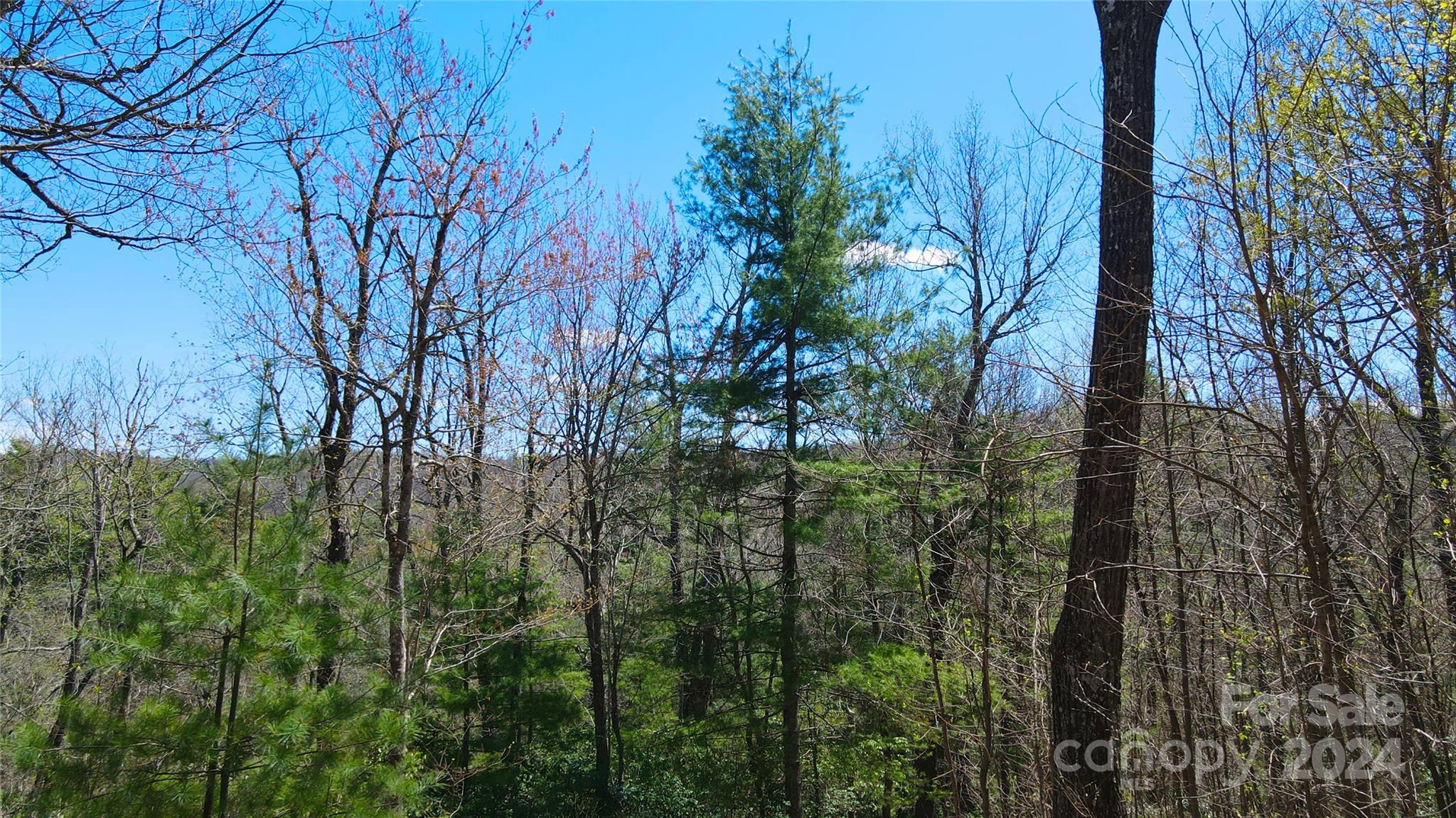 The Ridges of Pleasant Grove - Land