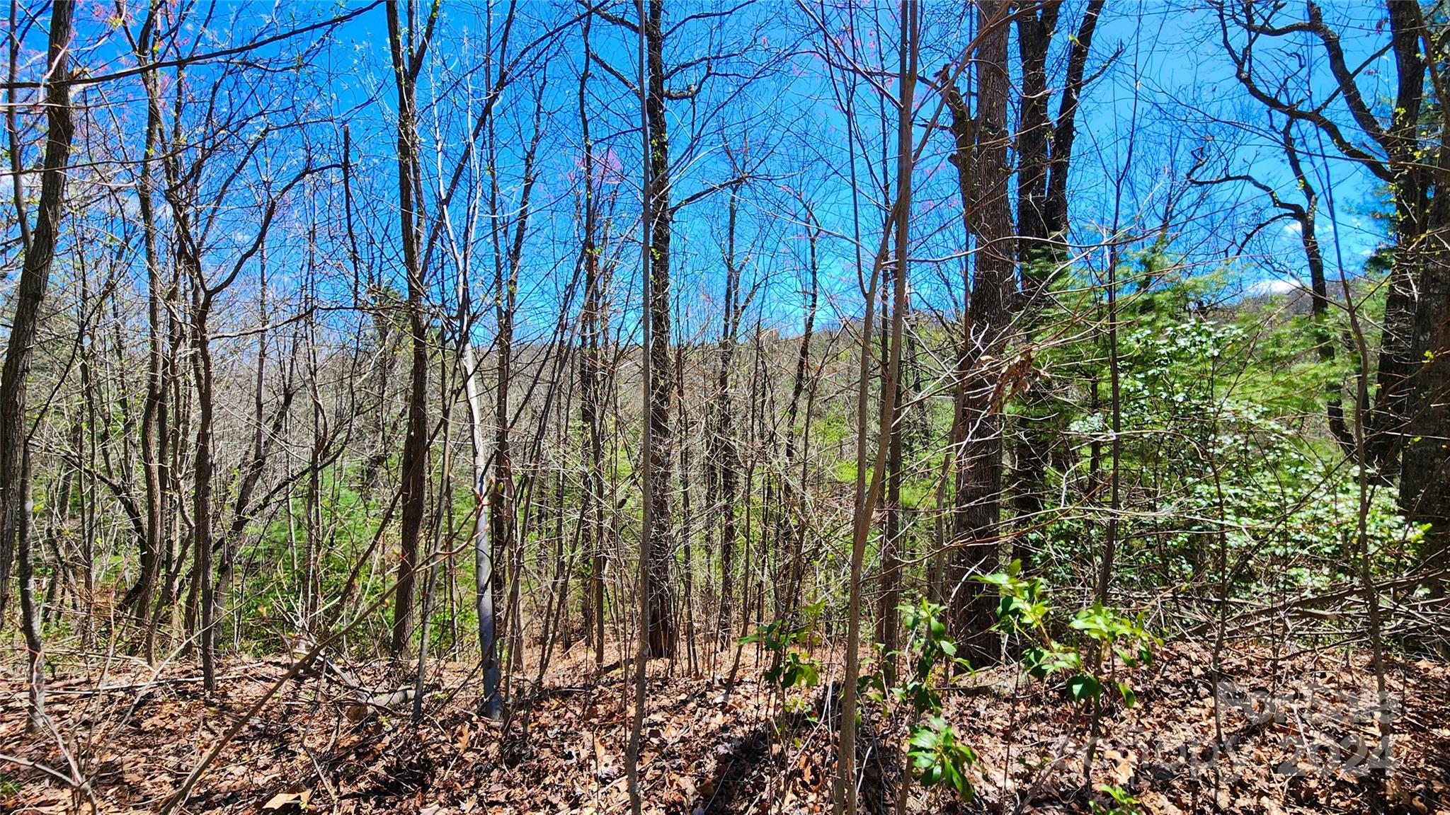 The Ridges of Pleasant Grove - Land