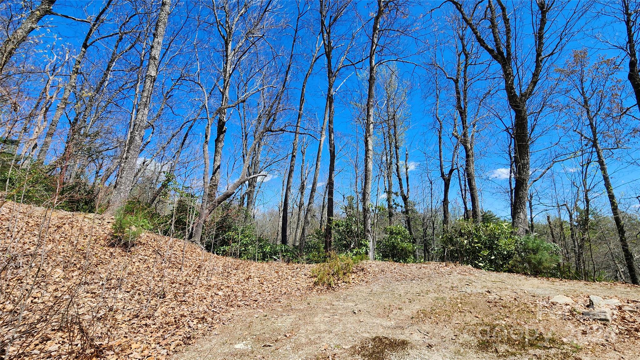 The Ridges of Pleasant Grove - Land