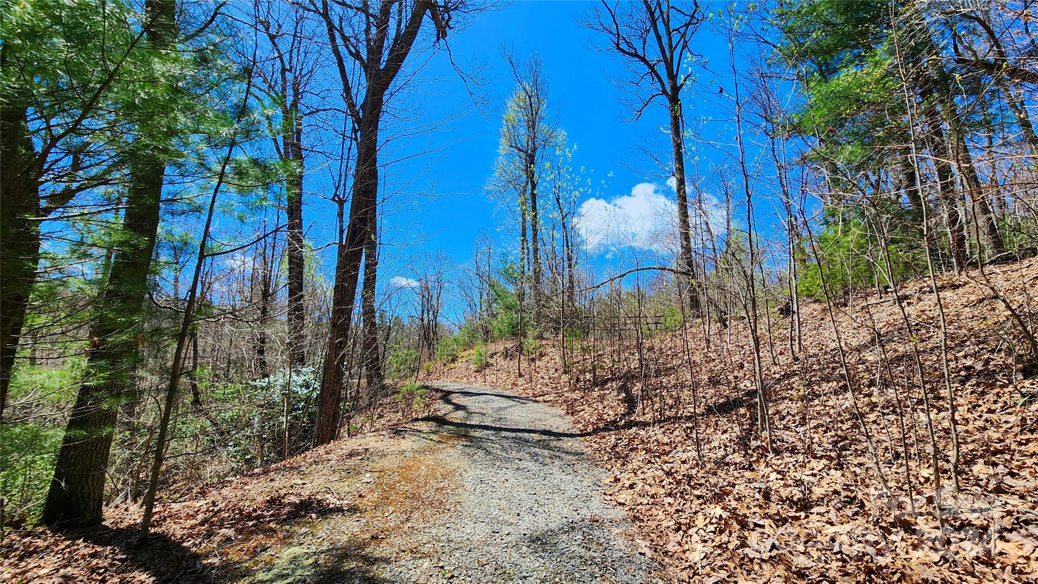 The Ridges of Pleasant Grove - Land