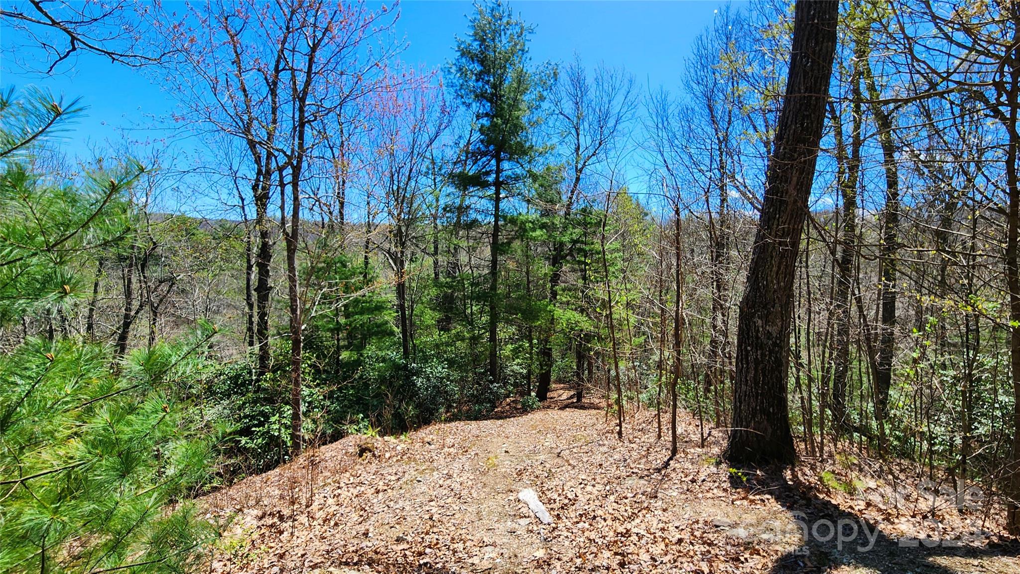 The Ridges of Pleasant Grove - Land