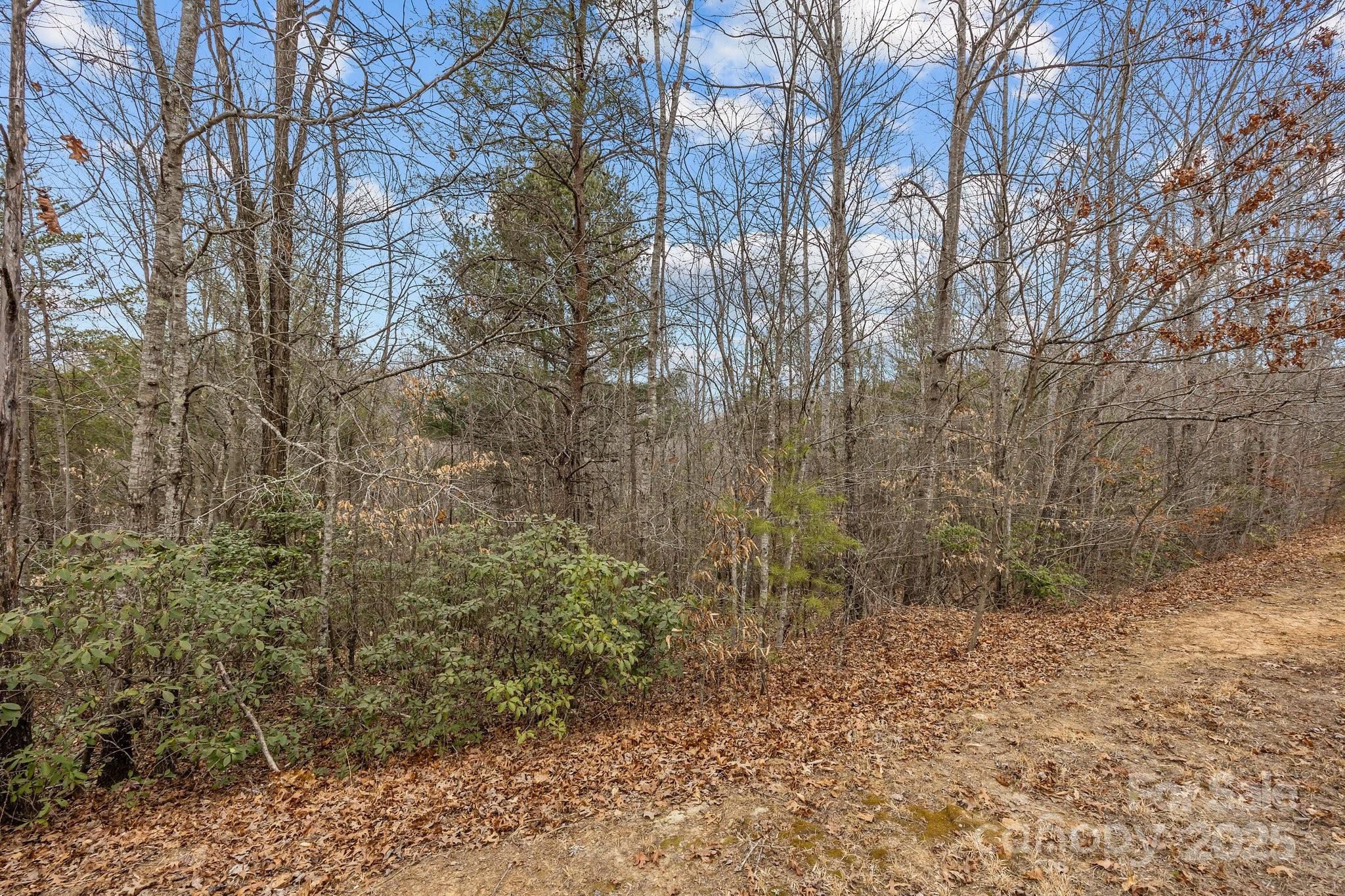 Lot 105 Glenhaven Drive