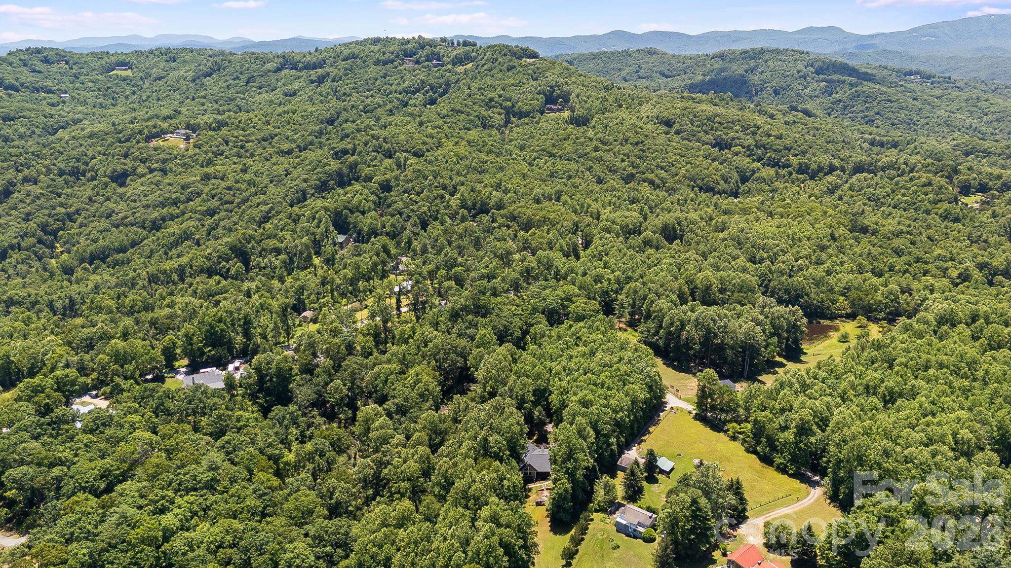 43 Reeses Ridge Court