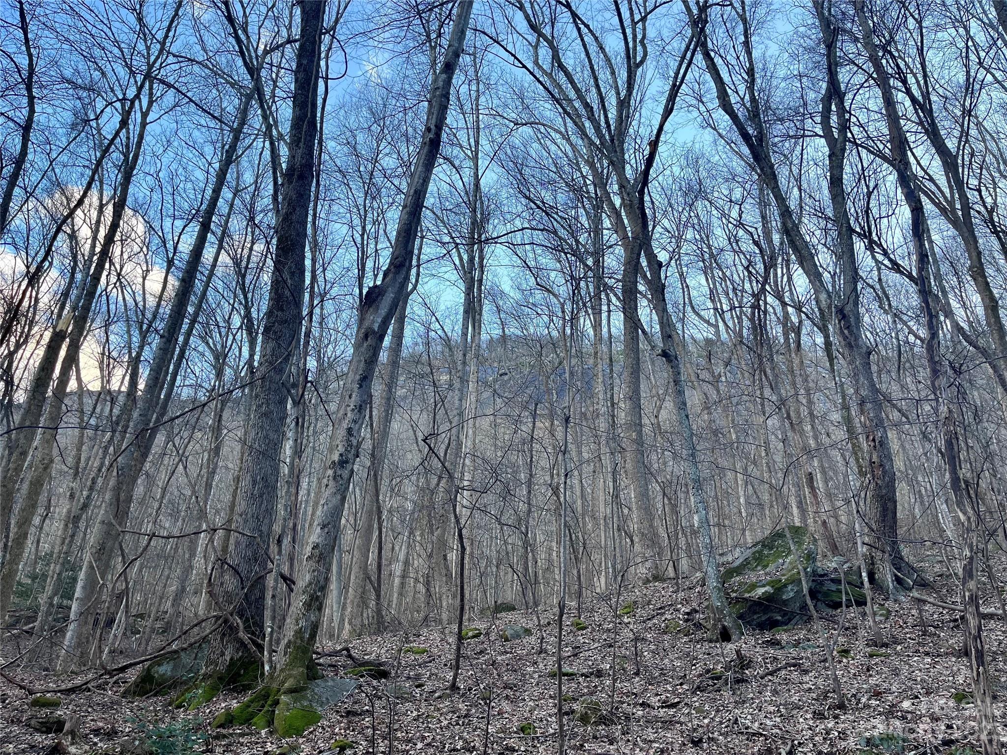 Rumbling Bald on Lake Lure - Land