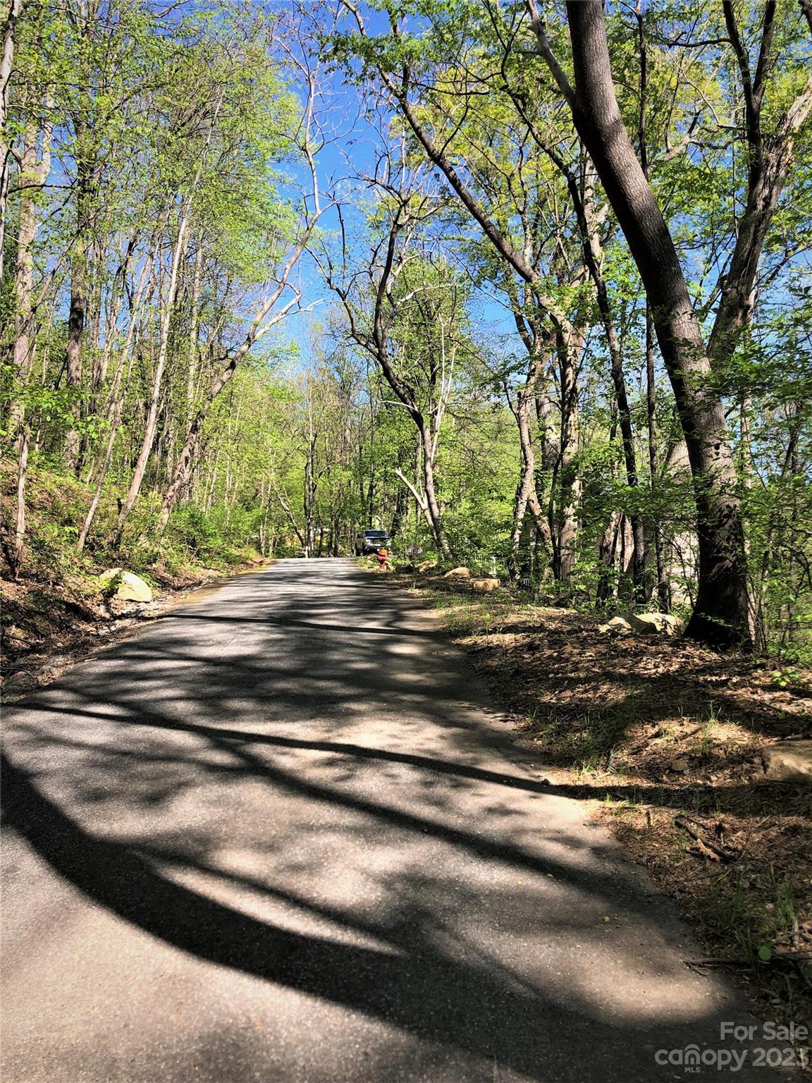 Rumbling Bald on Lake Lure - Land