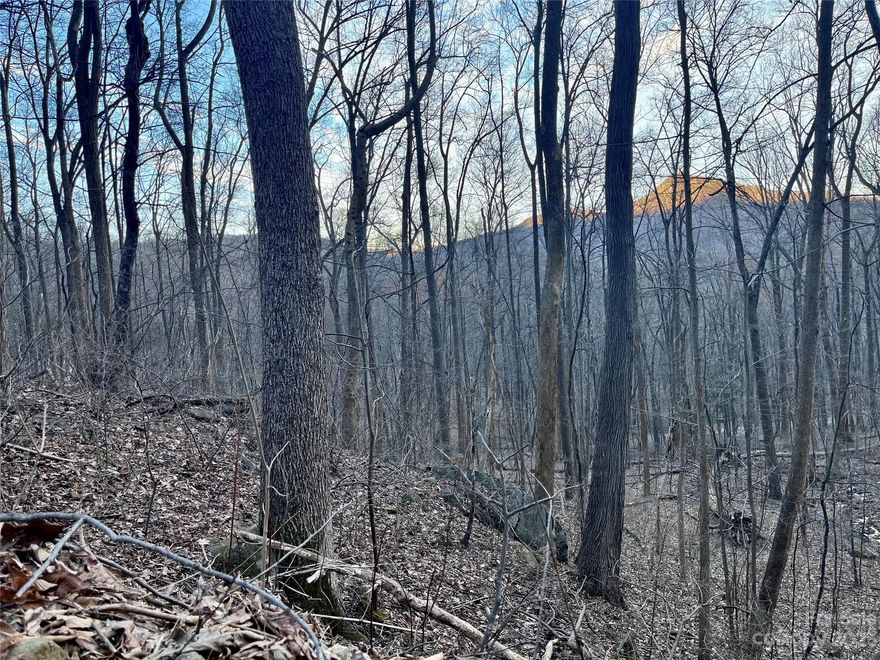 Huge price reduction for this motivated seller which is way below tax value.  What a deal for this 1.25 acre lot with a couple of building site options.  This lot lays between Bald Mtn. Crescent, which would give way for beautiful winter mountain views, or off Bolt Rd. which offers a more level building site. Enjoy all that Rumbling Bald has to offer from the indoor & outdoor pools, fitness center, tennis/pickleball/recreation courts. Plus access to the private beach on Lake Lure with only a 1-time $1,000 membership fee and annual dues of $3,244, while you wait to build that dream, vacation or investment home as short term rentals are allowable.