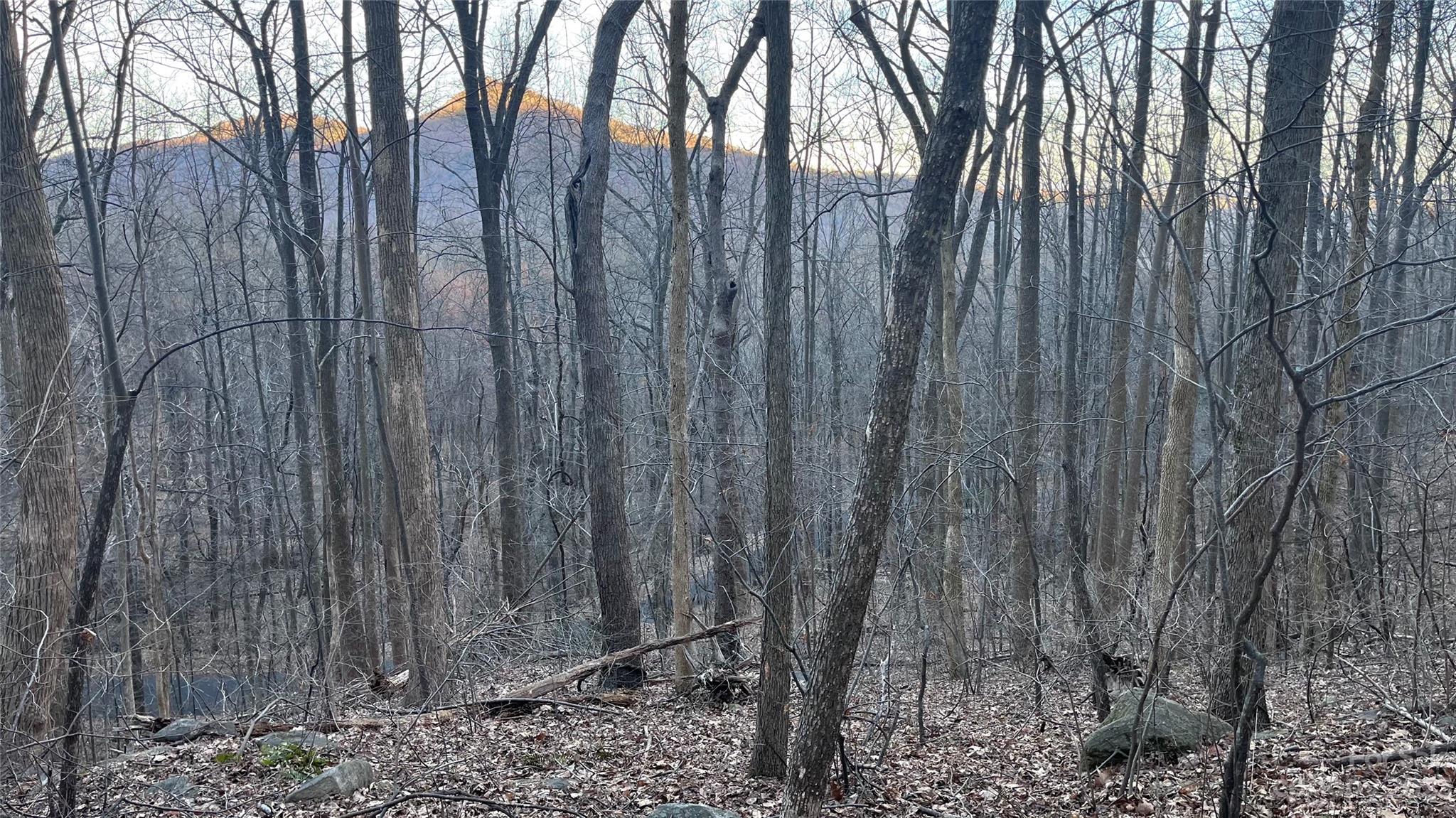 Rumbling Bald on Lake Lure - Land