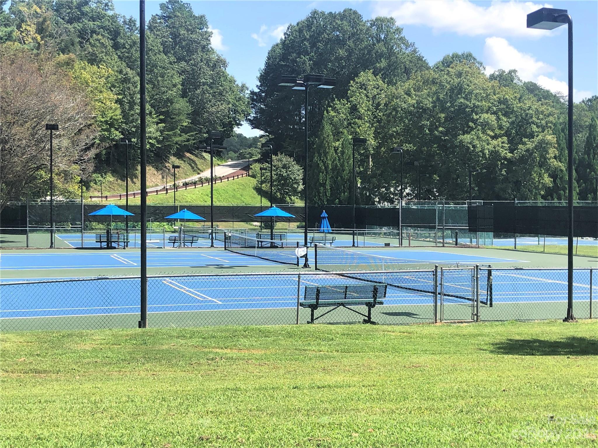 Rumbling Bald on Lake Lure - Land