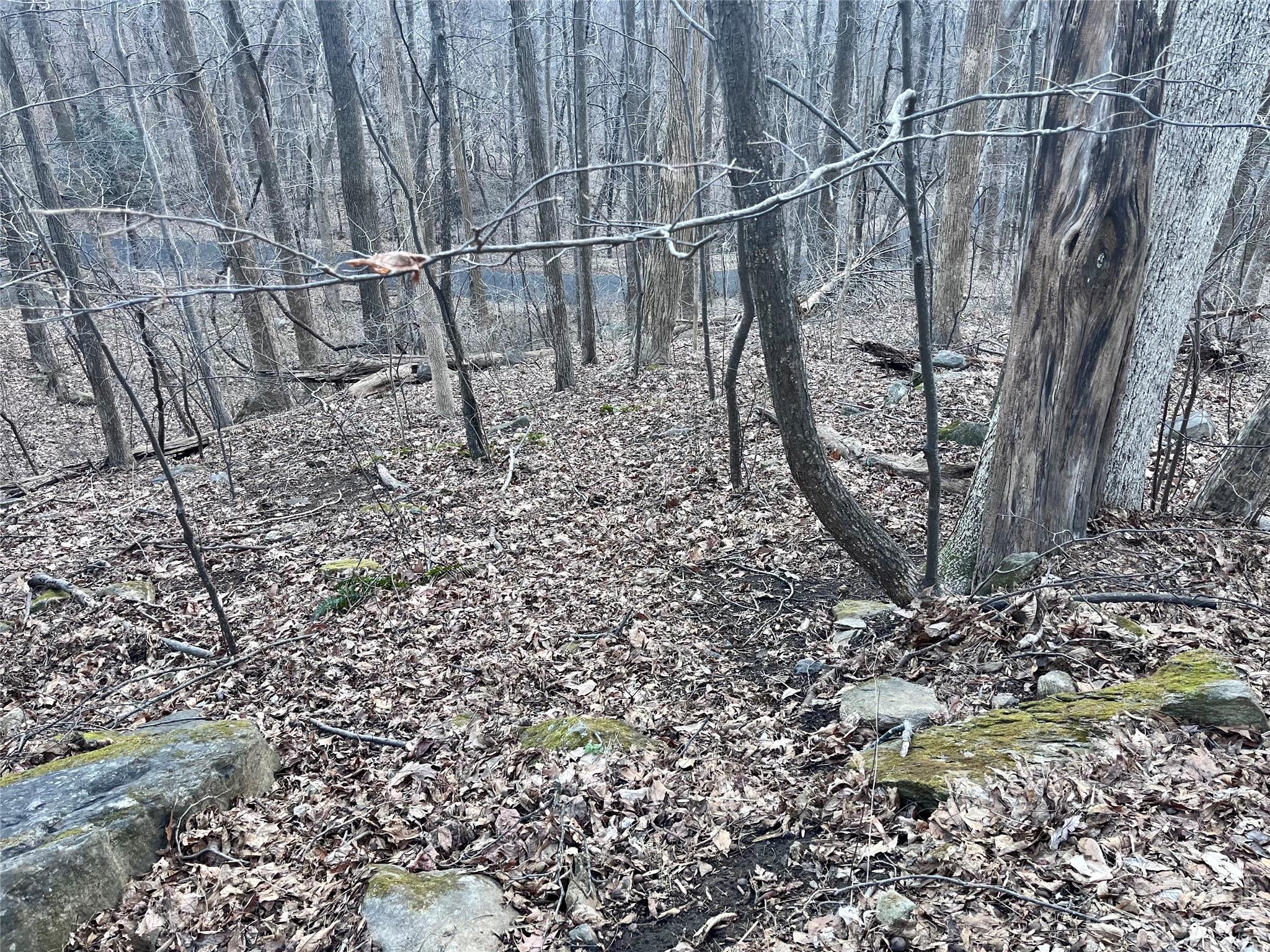 Rumbling Bald on Lake Lure - Land