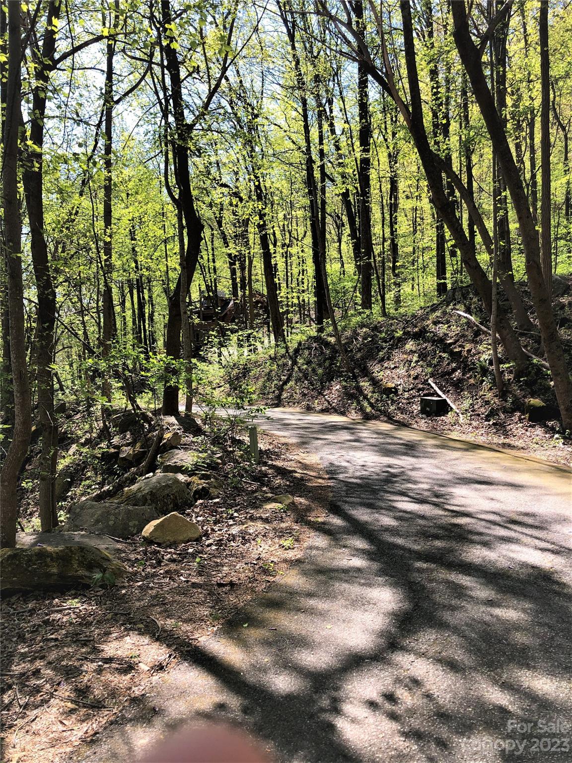 Rumbling Bald on Lake Lure - Land