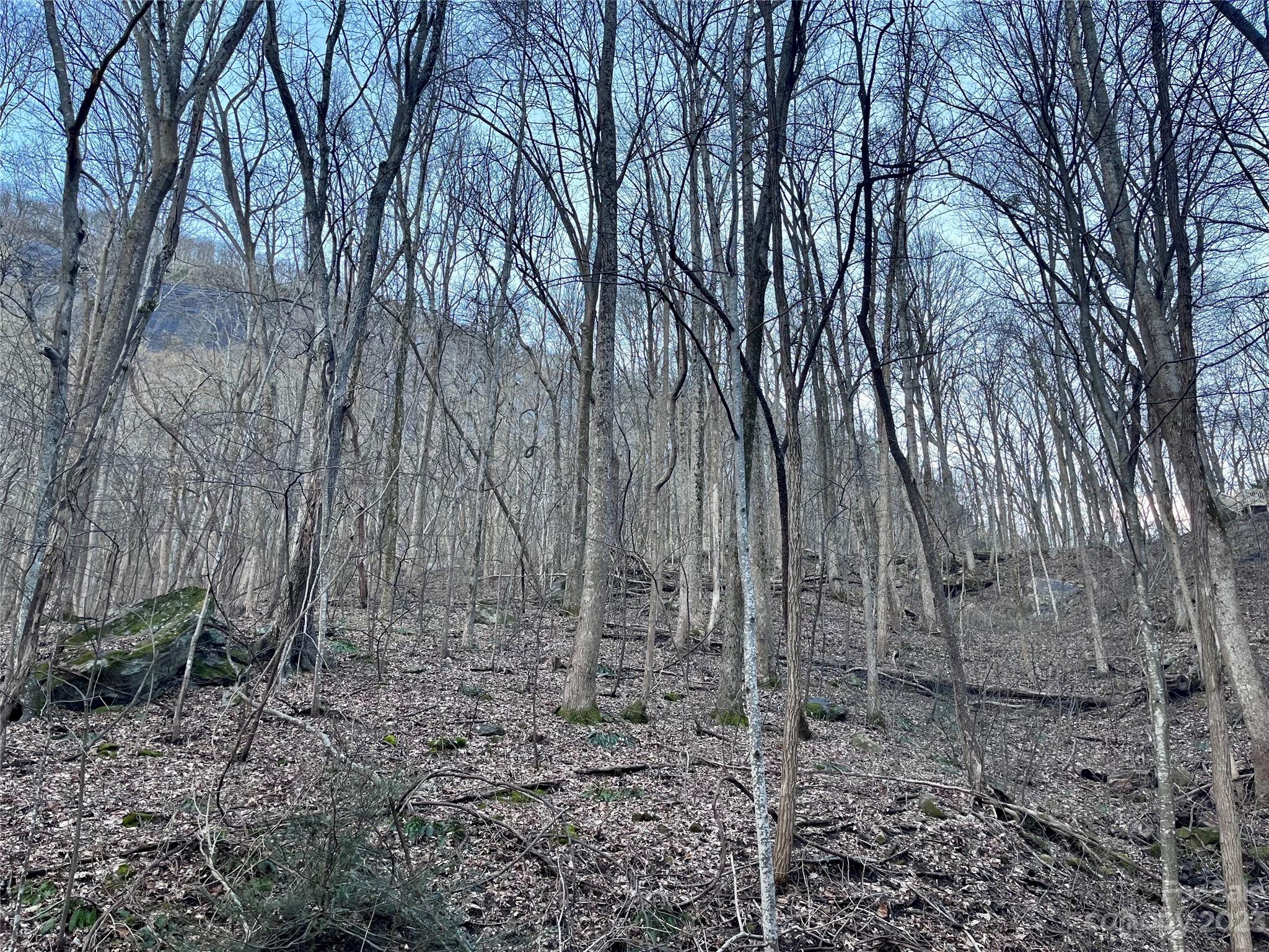 Rumbling Bald on Lake Lure - Land