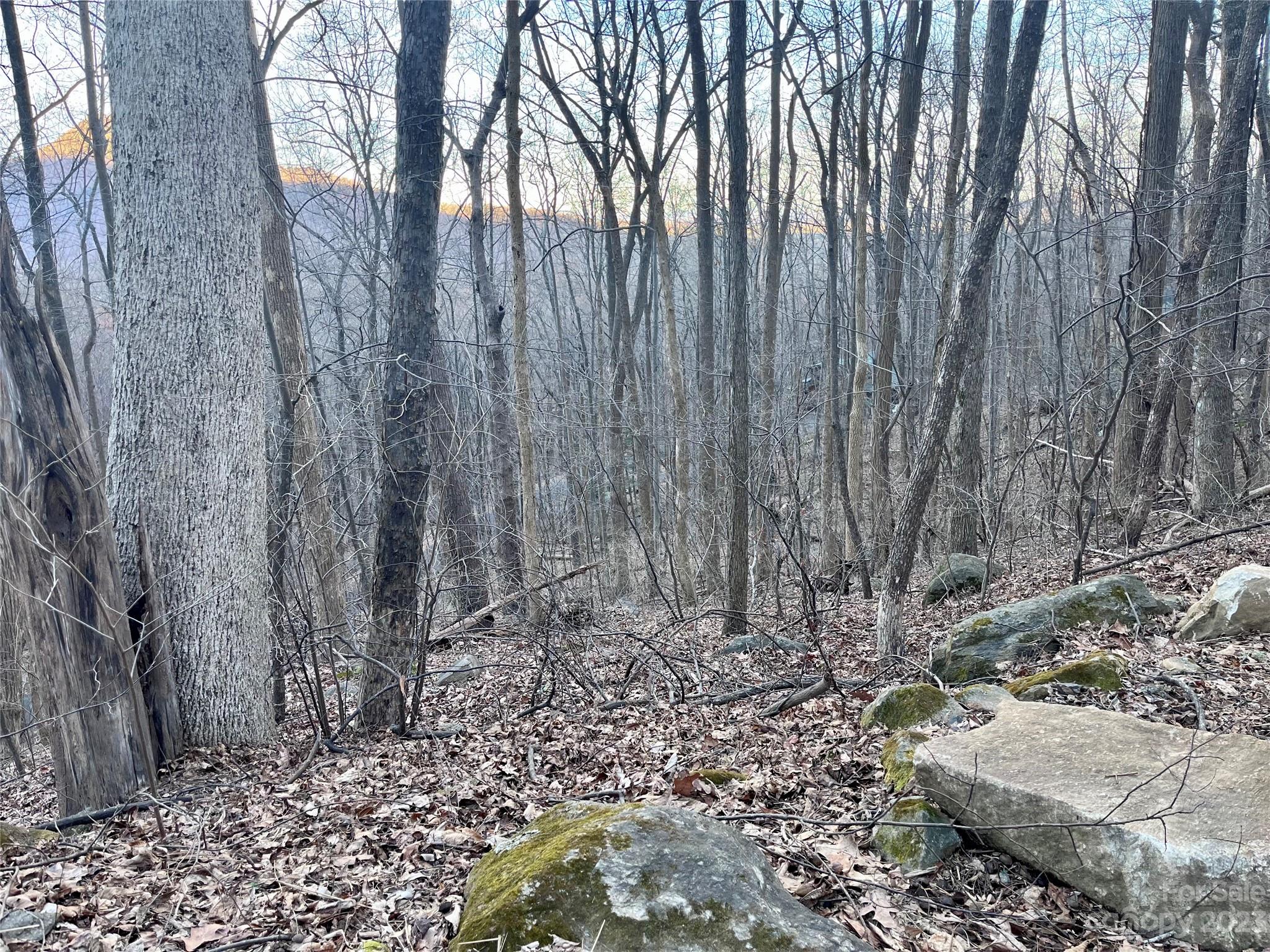 Rumbling Bald on Lake Lure - Land