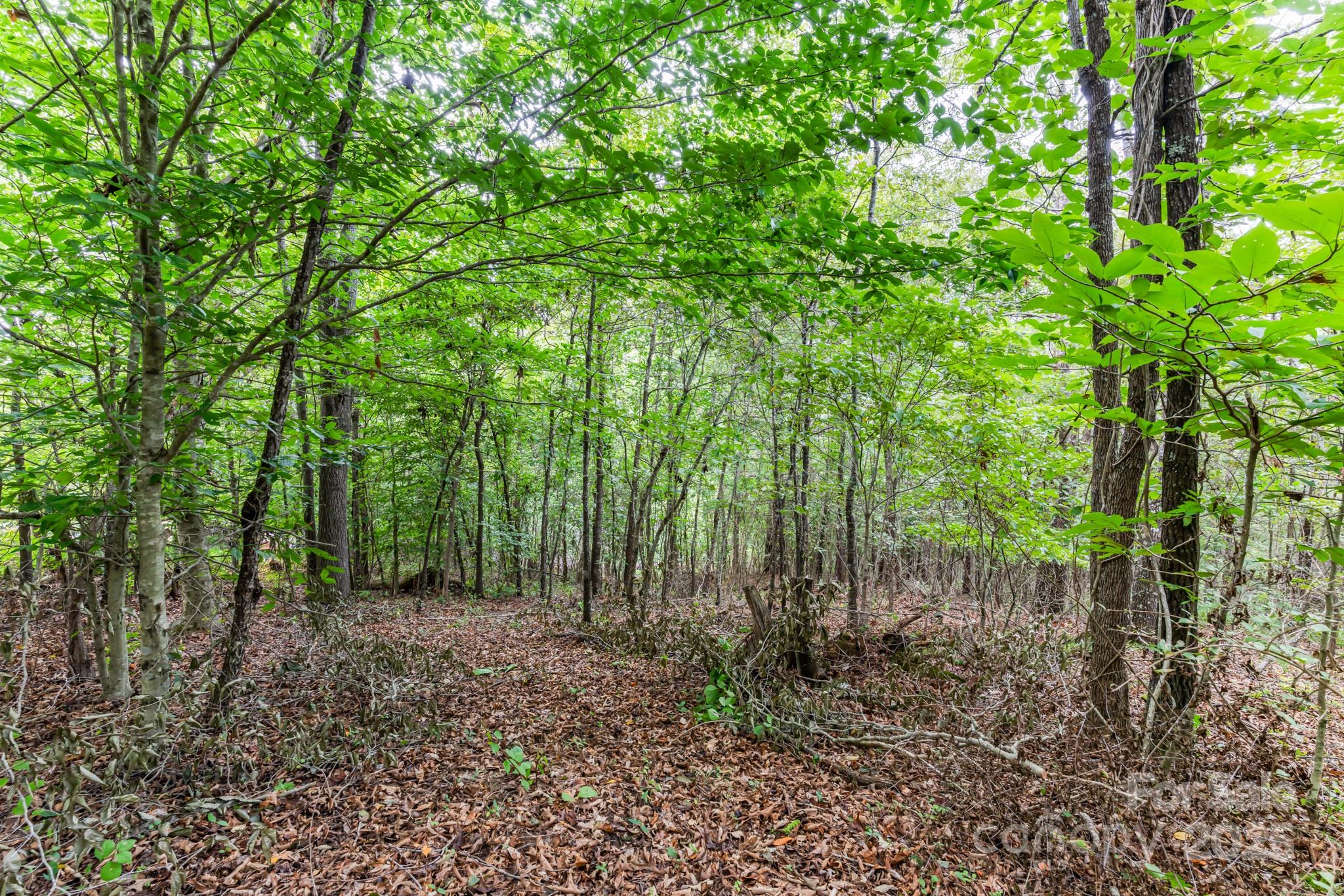 River Highlands at Madison Crs - Land