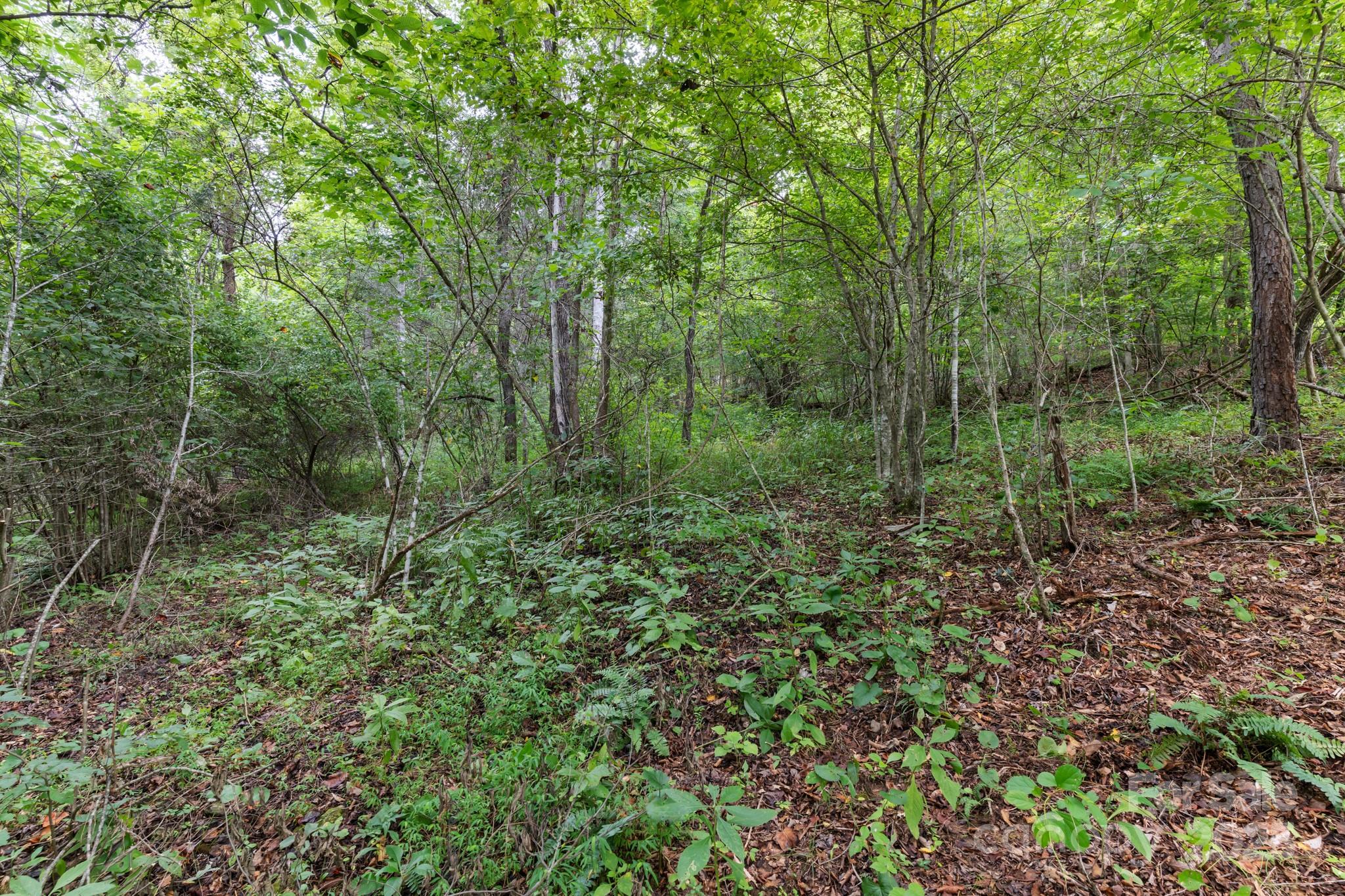 River Highlands at Madison Crs - Land