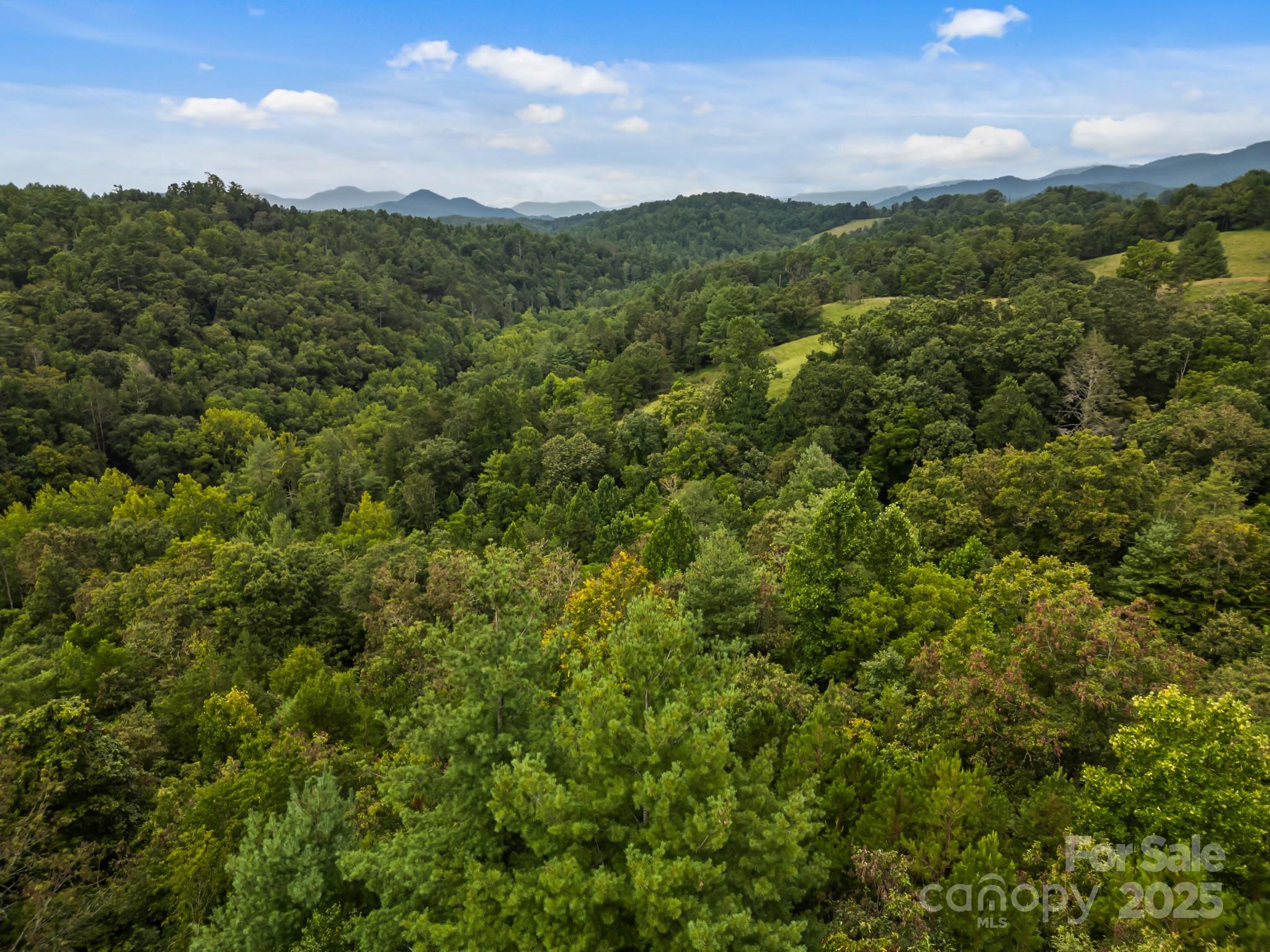 00 Crist View Drive 10