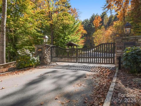 78 Woodland Aster Way 69 Asheville NC 28804