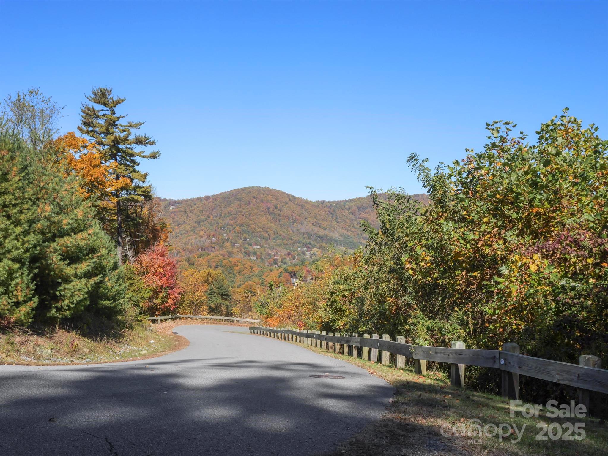 78 Woodland Aster Way 69